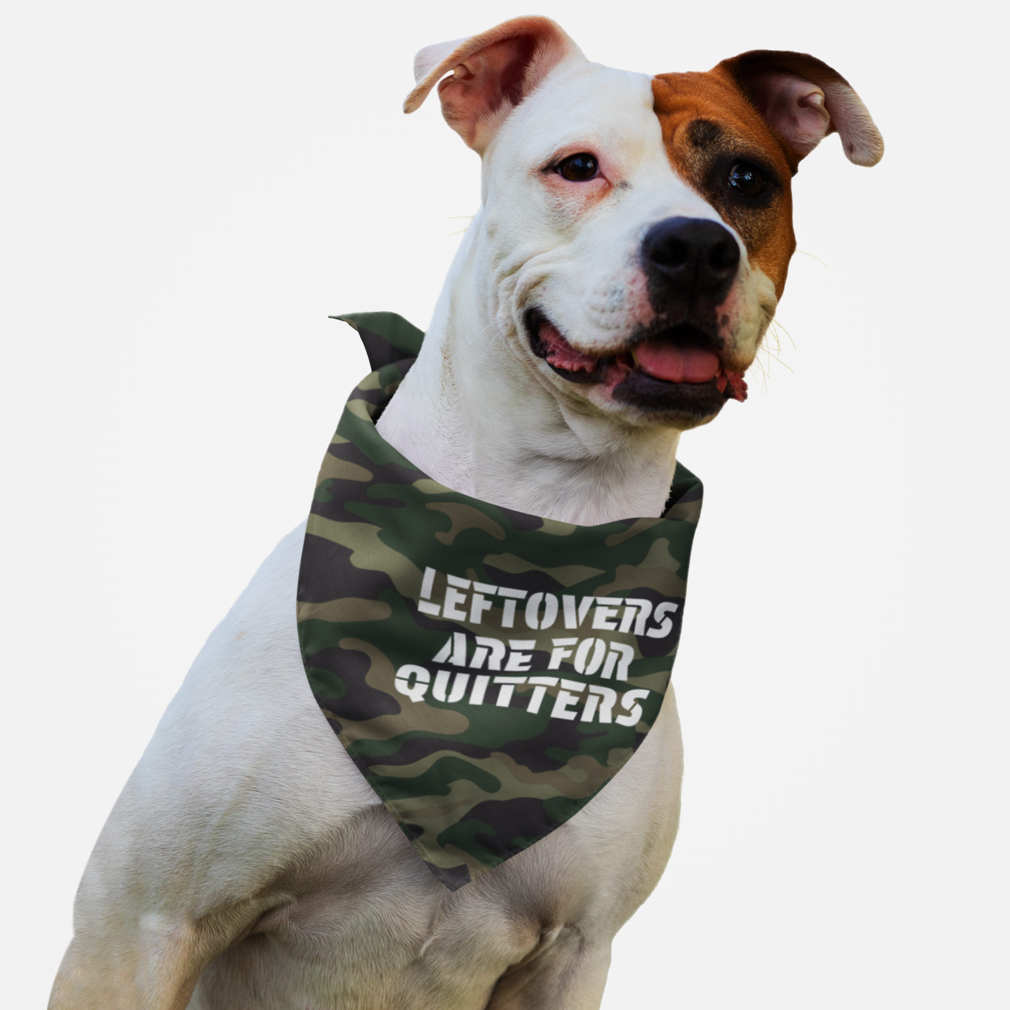 Tough dog with funny camouflage bandana saying Leftovers Are For Quitters.