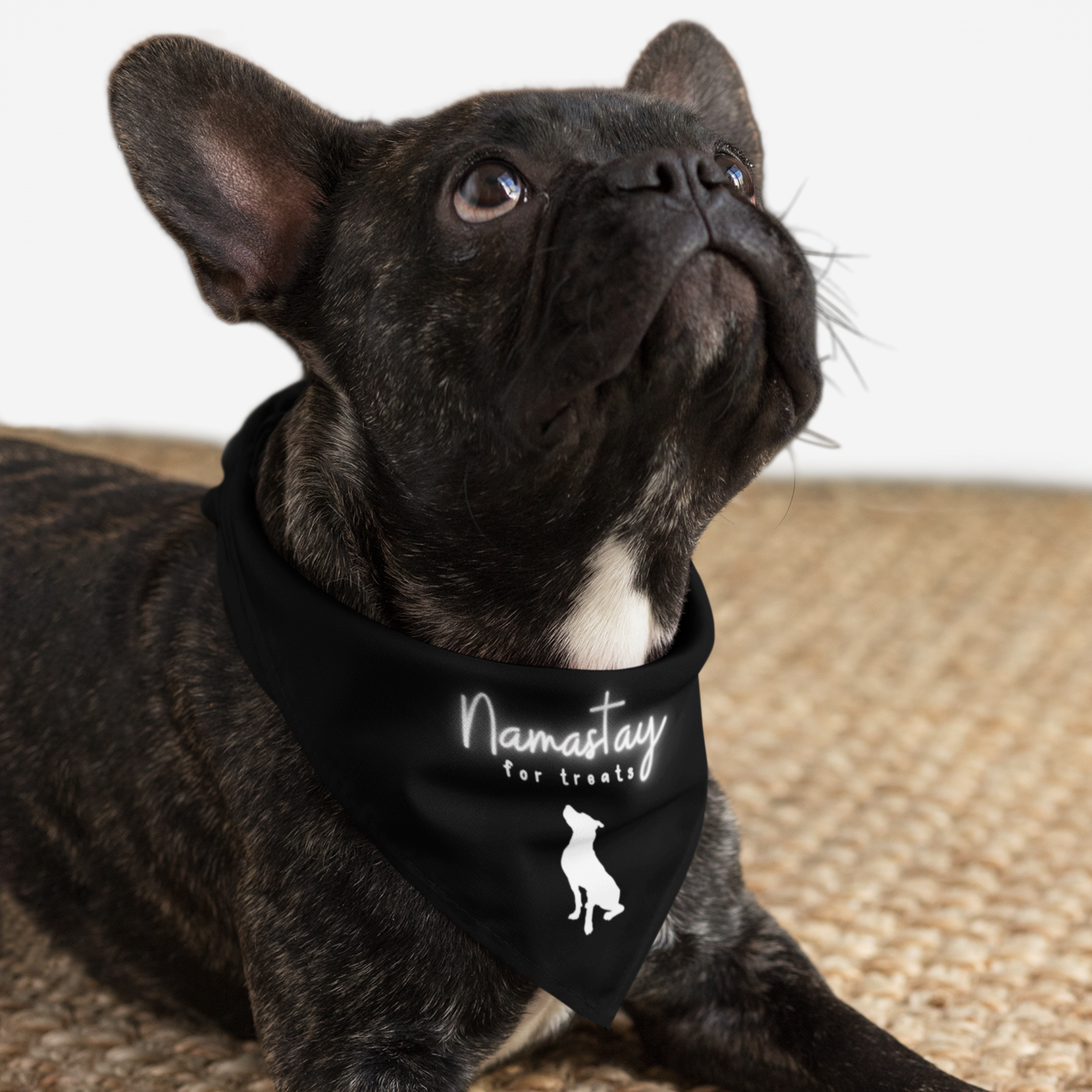 Yoga lover dog wearing funny bandana with "Namastay For Treats" pun.