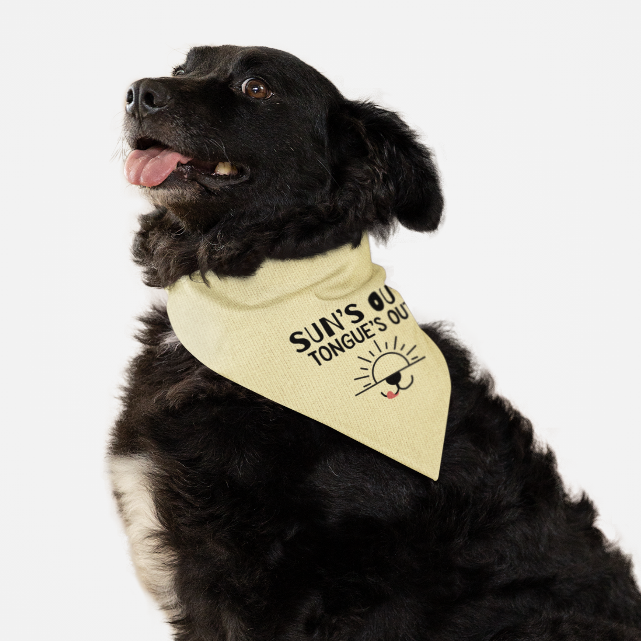 Dog wearing cute bandana with "Sun's Out. Tongue's Out." funny quote.