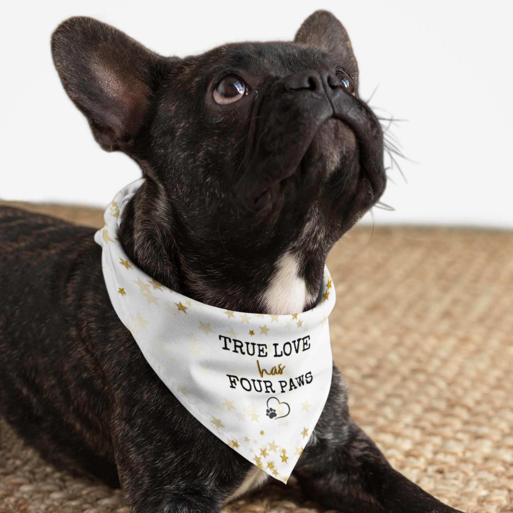 Bulldog wearing cute dog bandana saying True Love Has Four Paws.