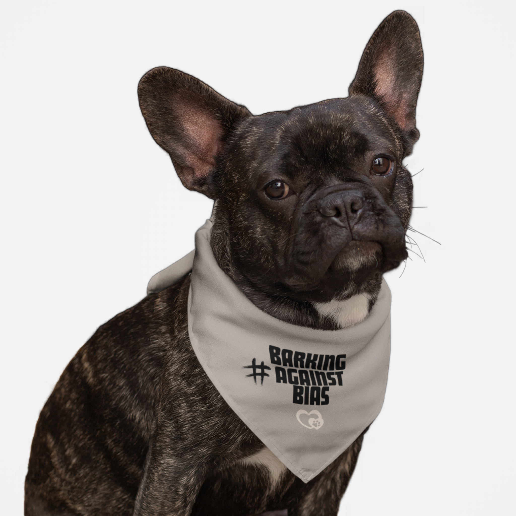 Bulldog wearing a dei awareness dog bandana with Barking Against Bias quote on it.