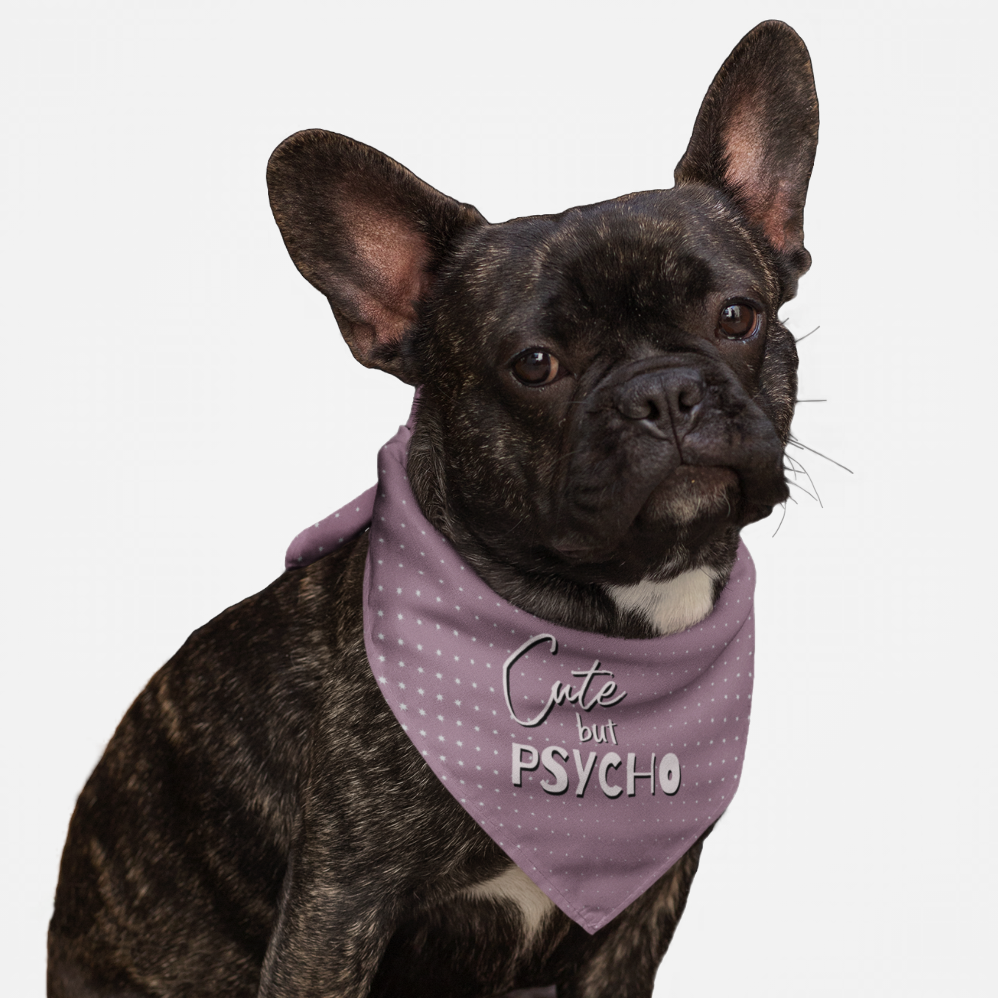 Cute dog wearing purple bandana with "Cute but Psycho" funny quote.