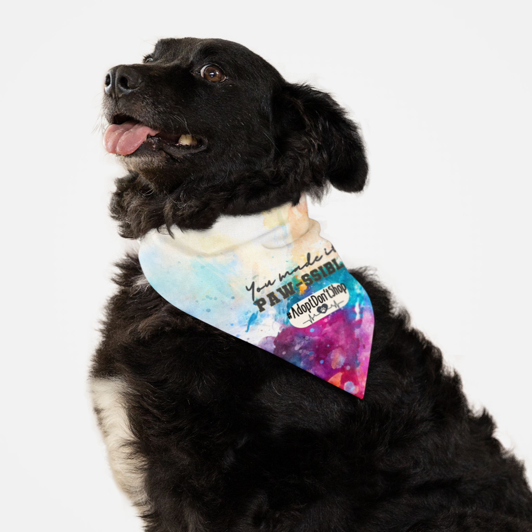 Rescue dog wearing Adopt Don't Shop bandana saying You Made It Paw-ssible.