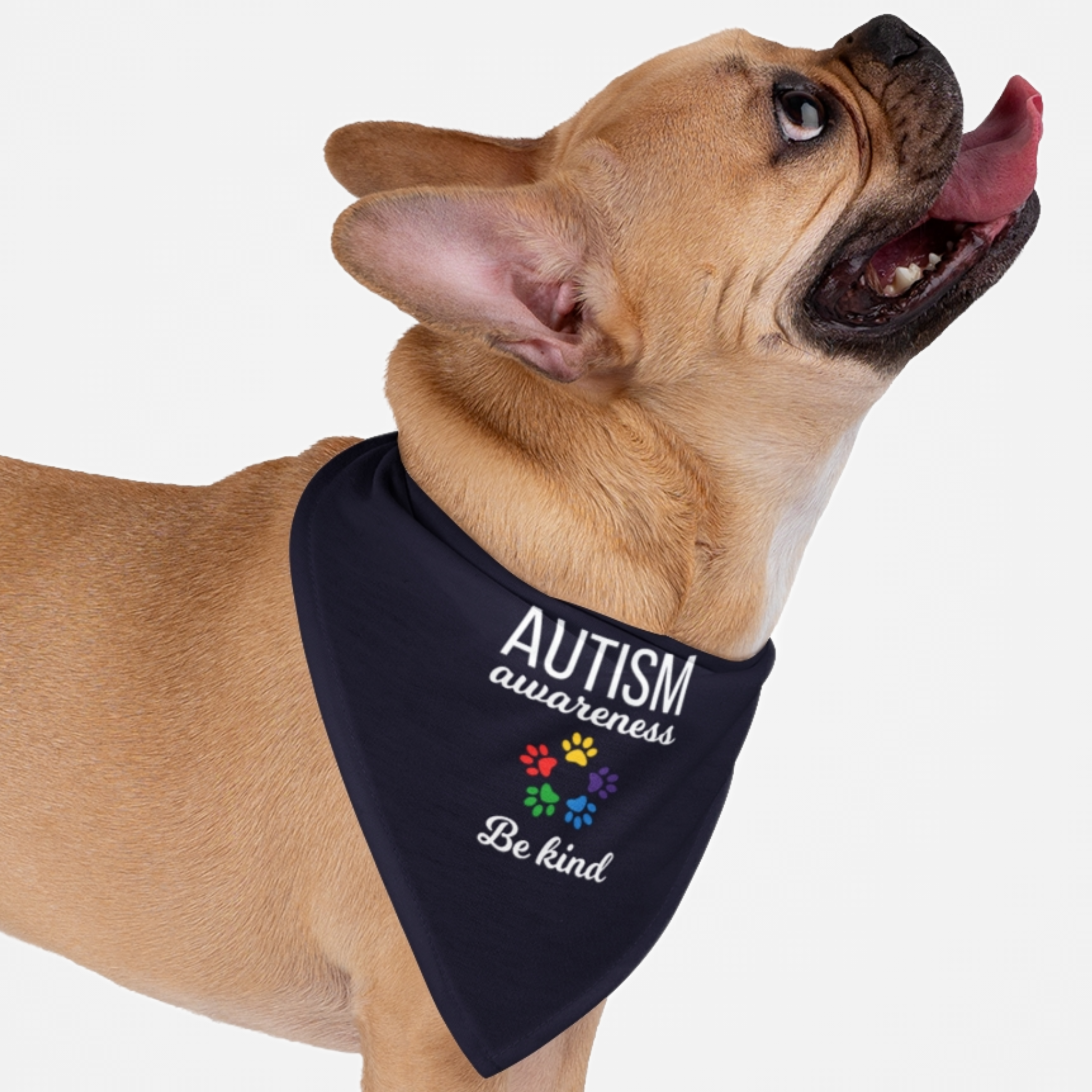 Dog wearing autism awareness bandana saying Be Kind.