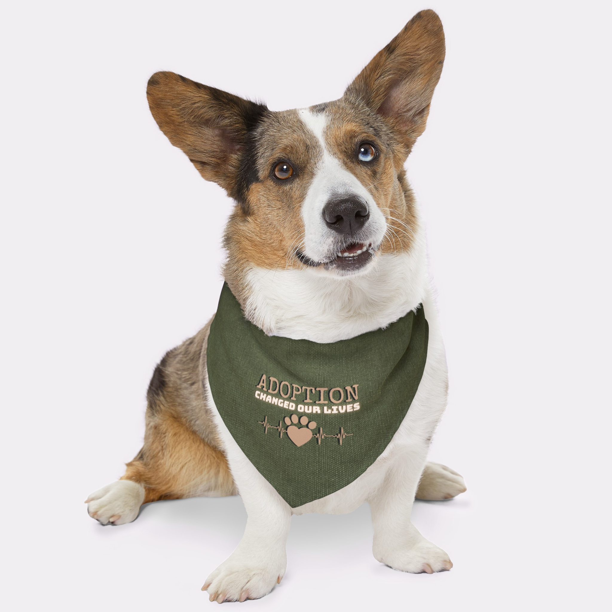 Rescue dog wearing bandana with cute paw and heartbeat graphic saying Adoption Changed Our Lives.