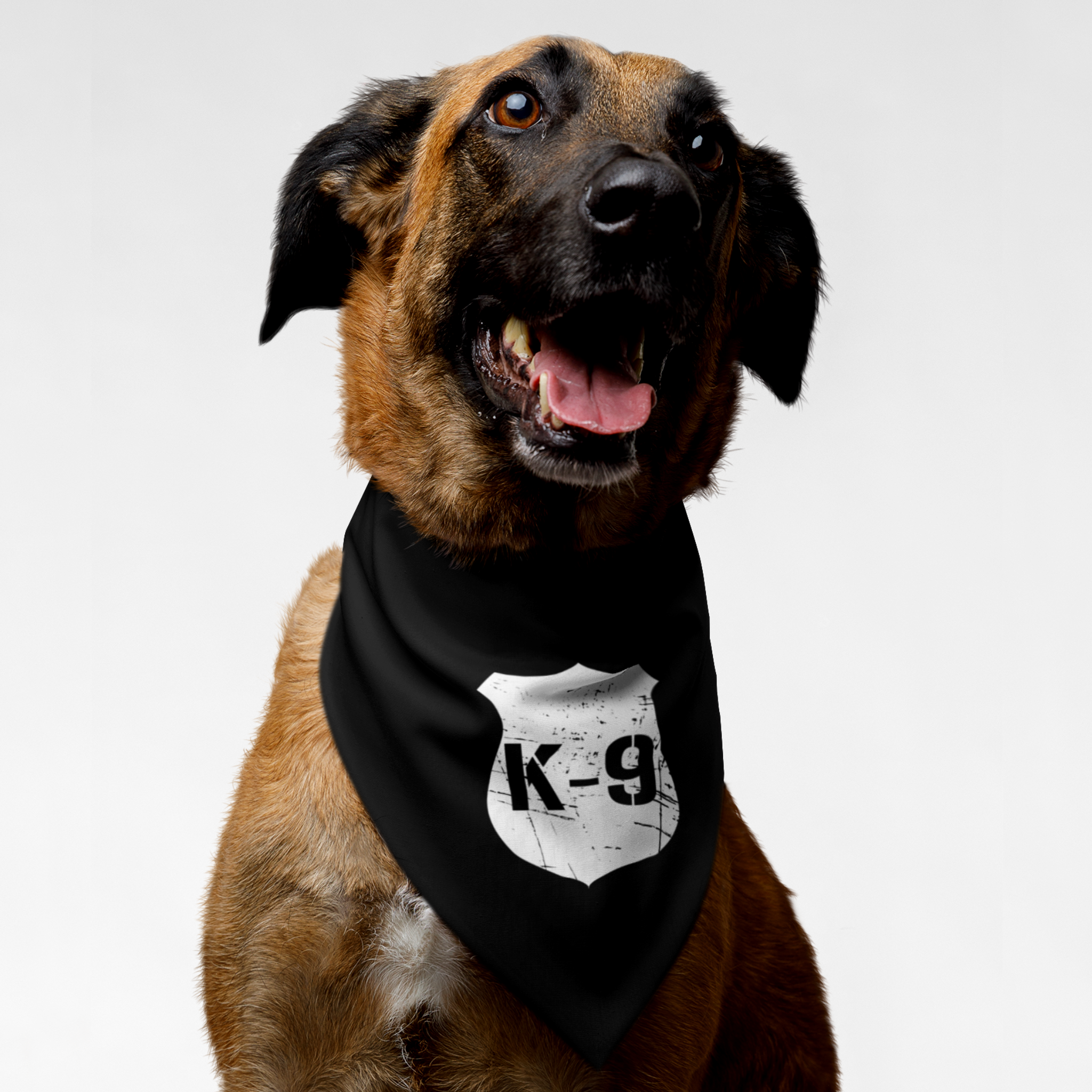 Dog wearing black bandana with distressed K9 badge graphic.