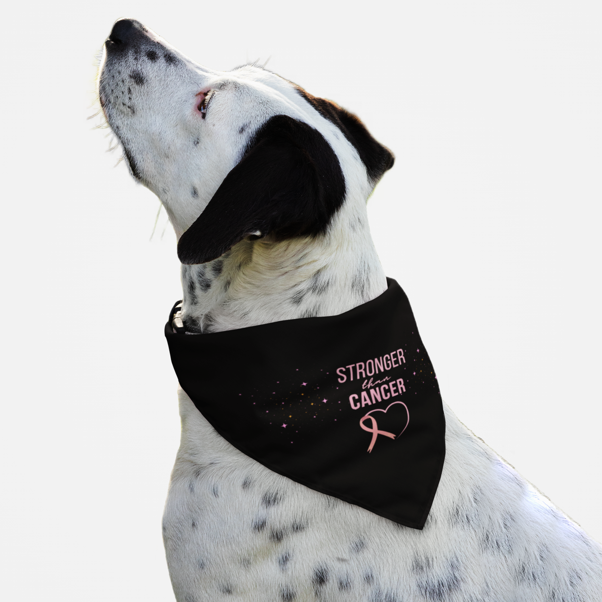 Dog wearing breast cancer awareness bandana with "Stronger Than Cancer" quote and a pink ribbon and heart.