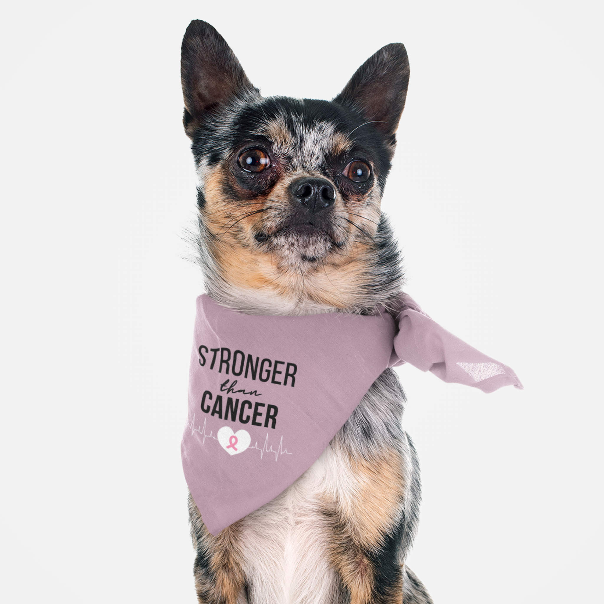 Dog wearing breast cancer awareness pink bandana with "Stronger Than Cancer" quote on it.