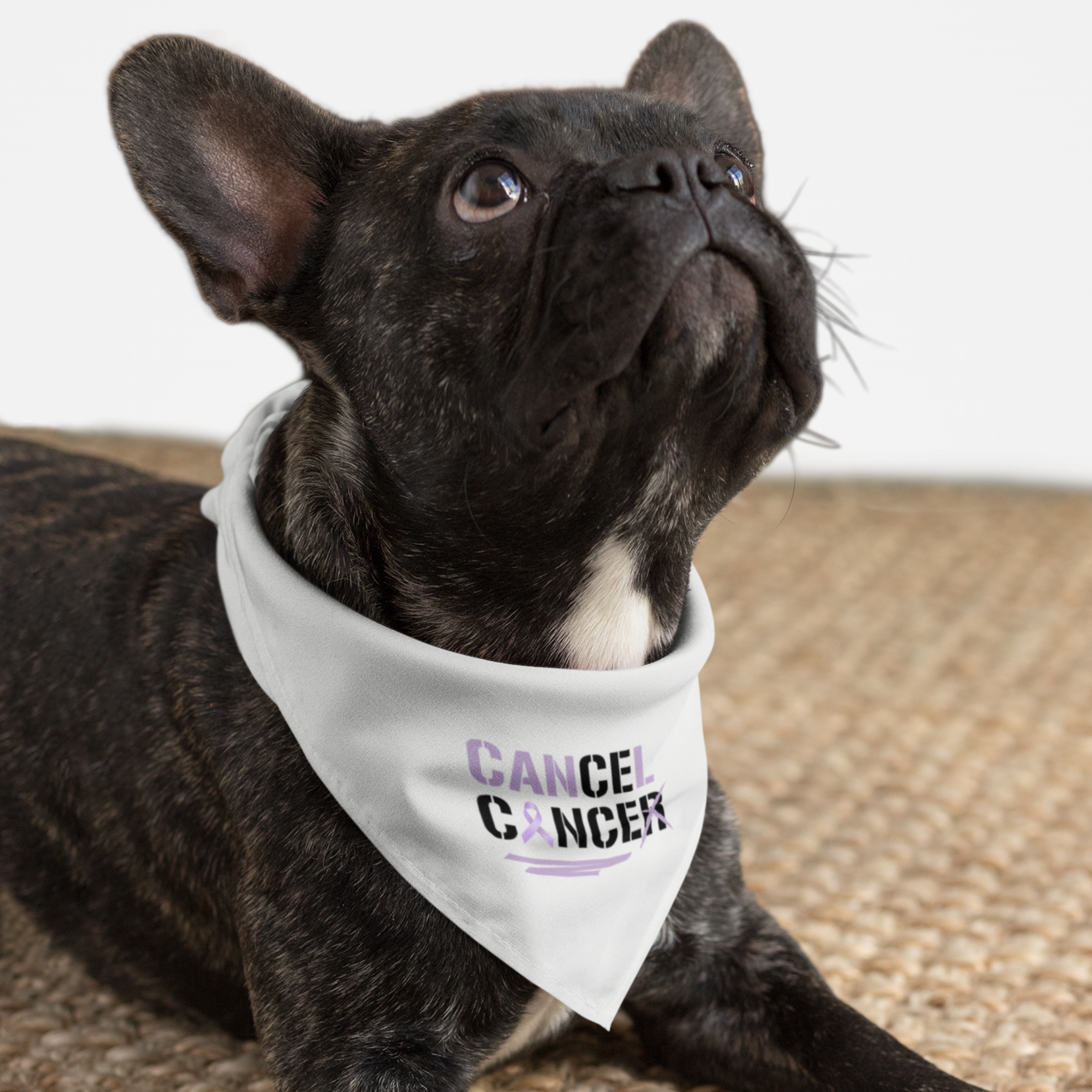 Dog wearing cancer awareness bandana saying Cancel Cancer.