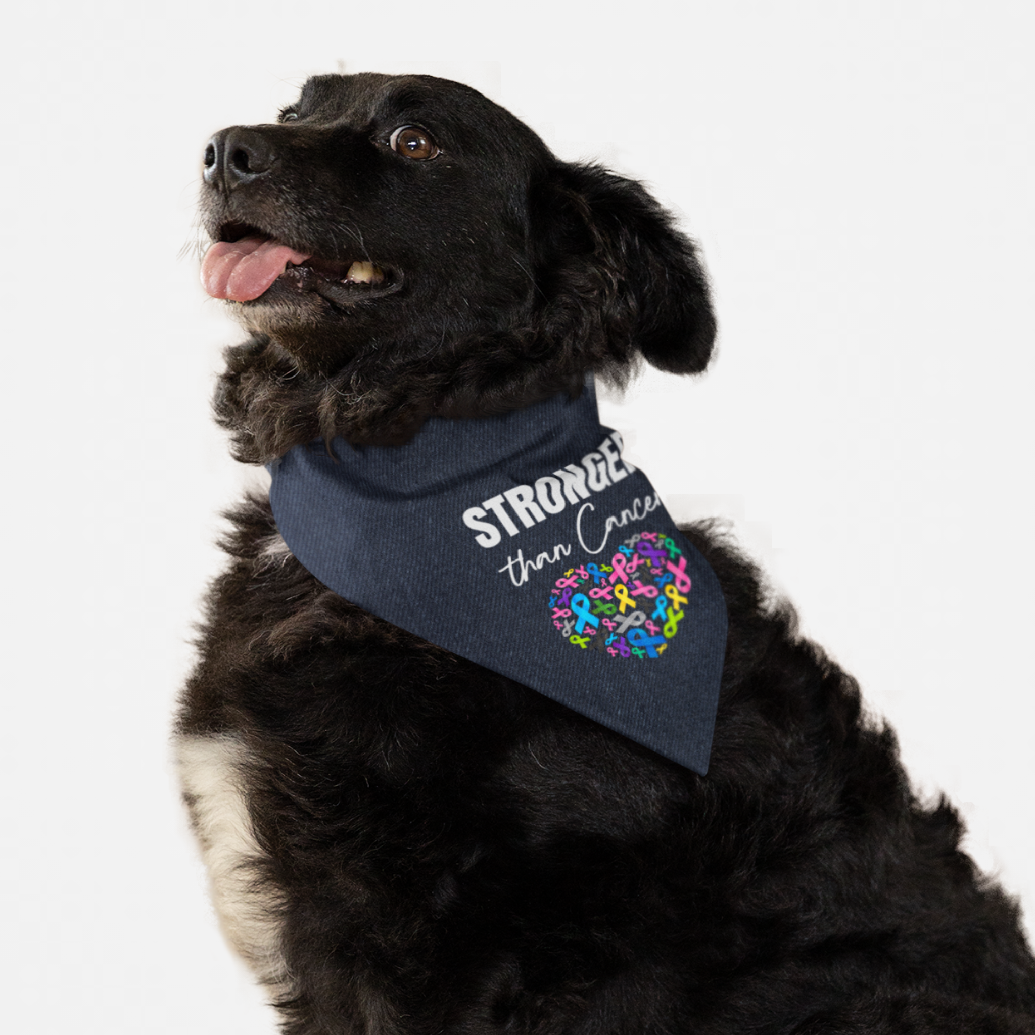 Dog wearing cancer awareness bandana with "Stronger Than Cancer" quote and colored ribbons in shape of heart.