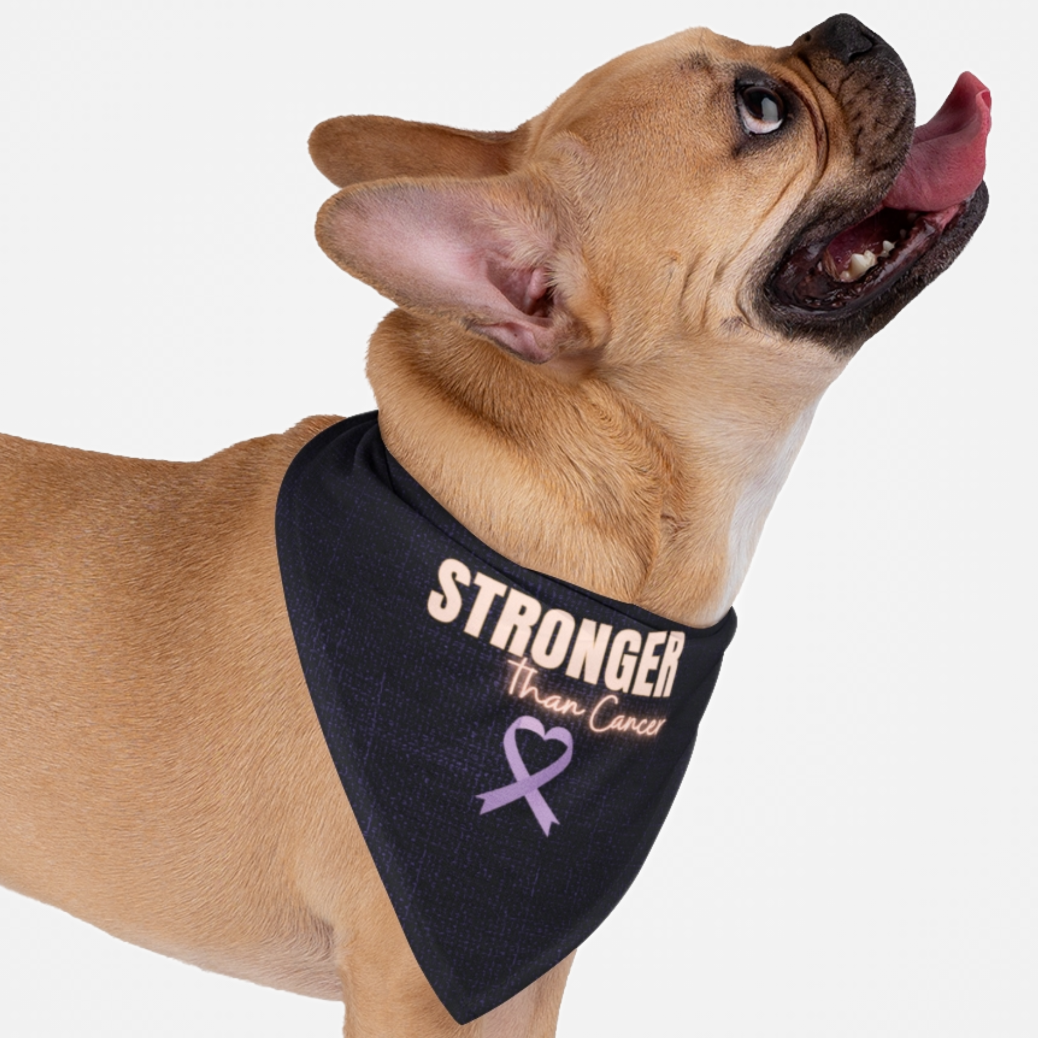 Dog wearing cancer awareness bandana with "Stronger Than Cancer" quote and ribbon in shape of heart.