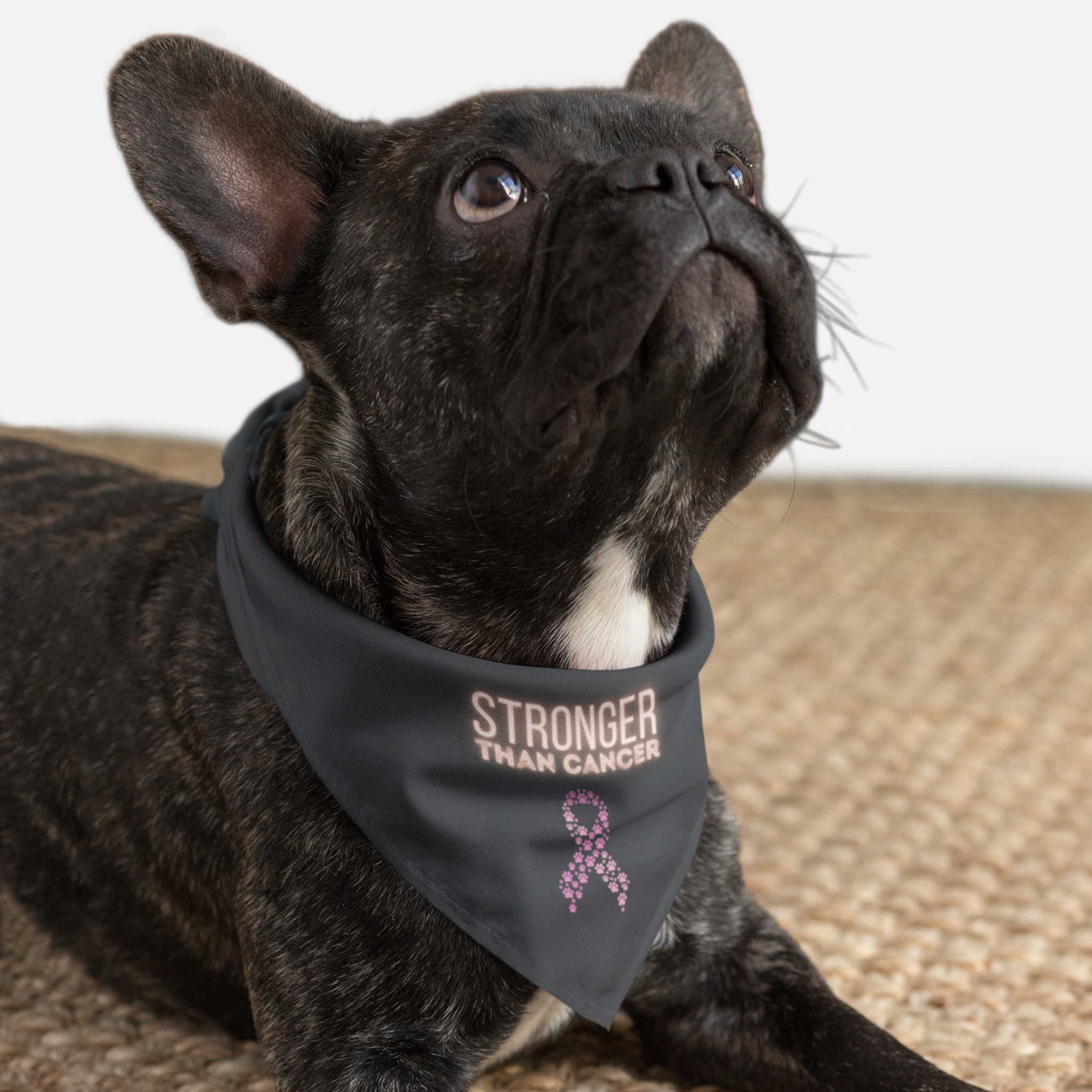 Dog wearing cancer awareness bandana with "Stronger Than Cancer" quote and ribbon graphic made from paws.