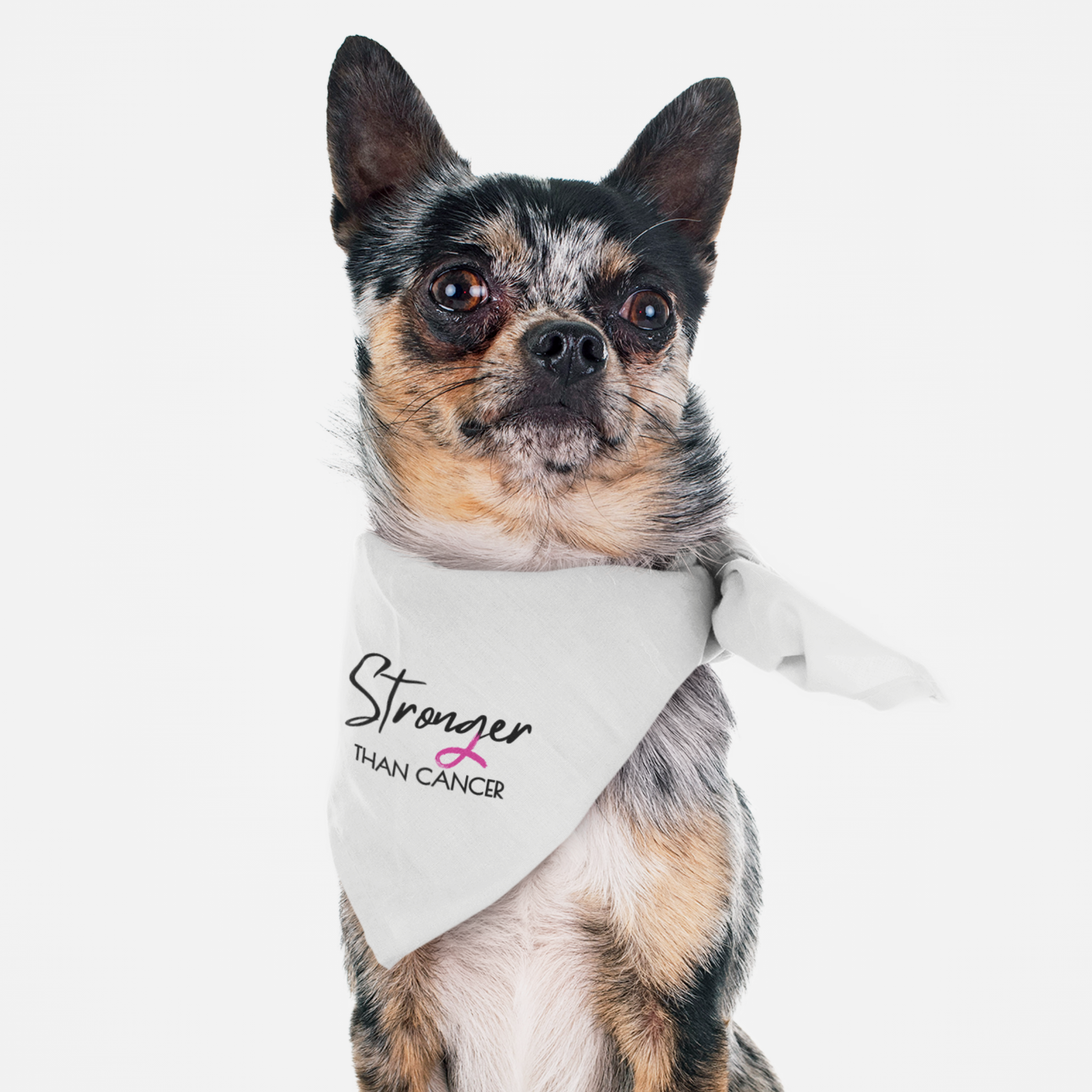 Dog wearing cancer awareness bandana with "Stronger Than Cancer" quote with letter g as a pink ribbon.