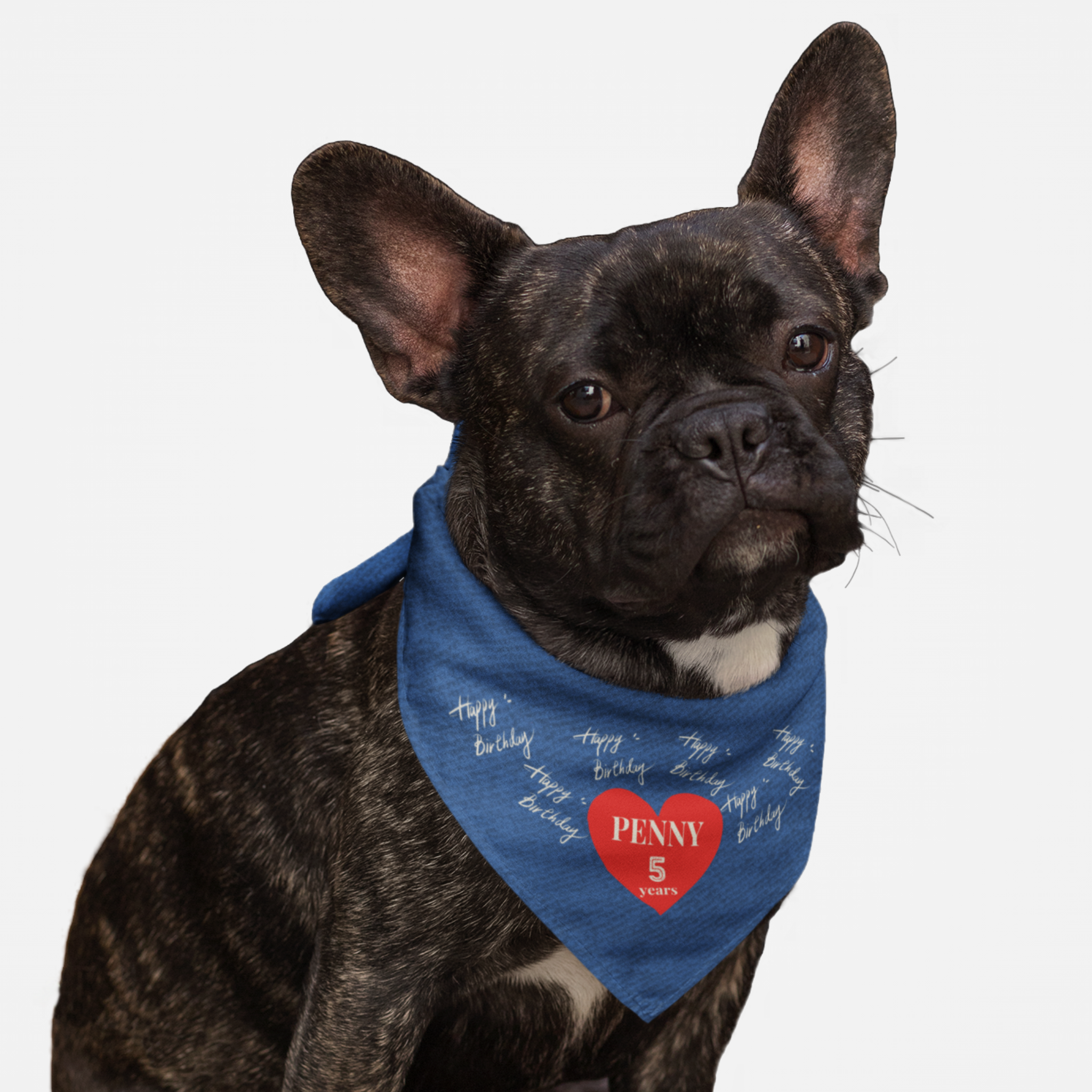 Dog wearing custom name and age personalized birthday bandana featuring denim print effect and red heart graphic.