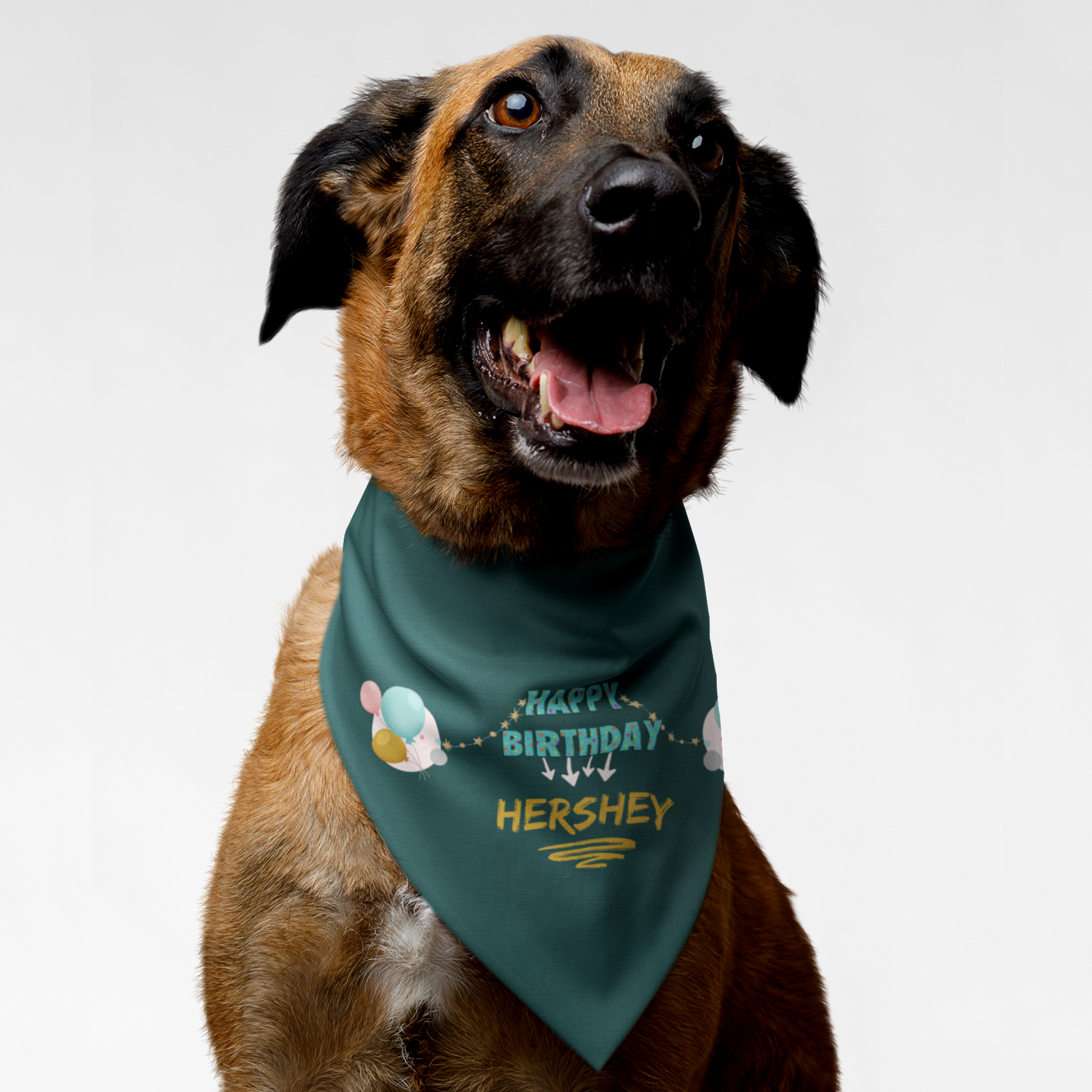 Dog wearing custom name personalized birthday bandana with balloons graphic.