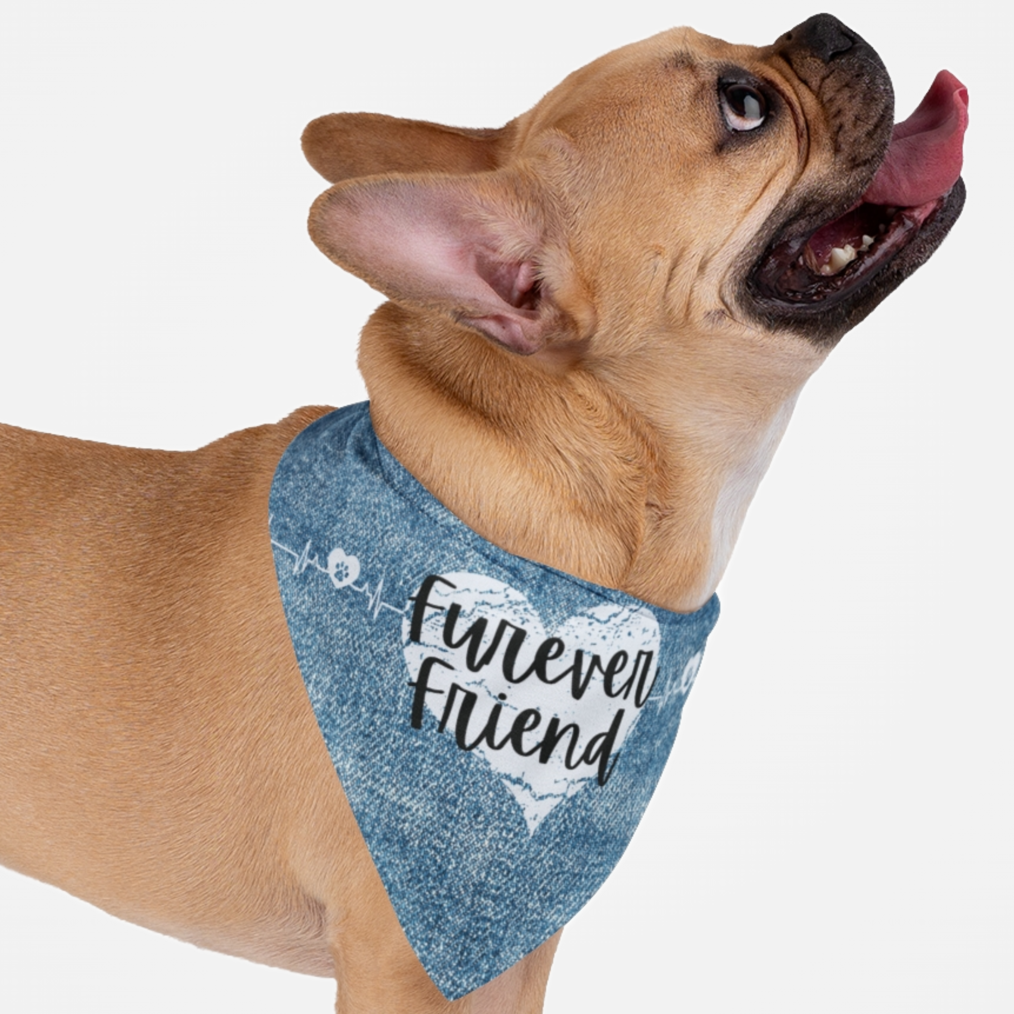 Dog wearing cute bandana featuring heartbeat graphic and denim style print with "Furever Friend" pun quote.