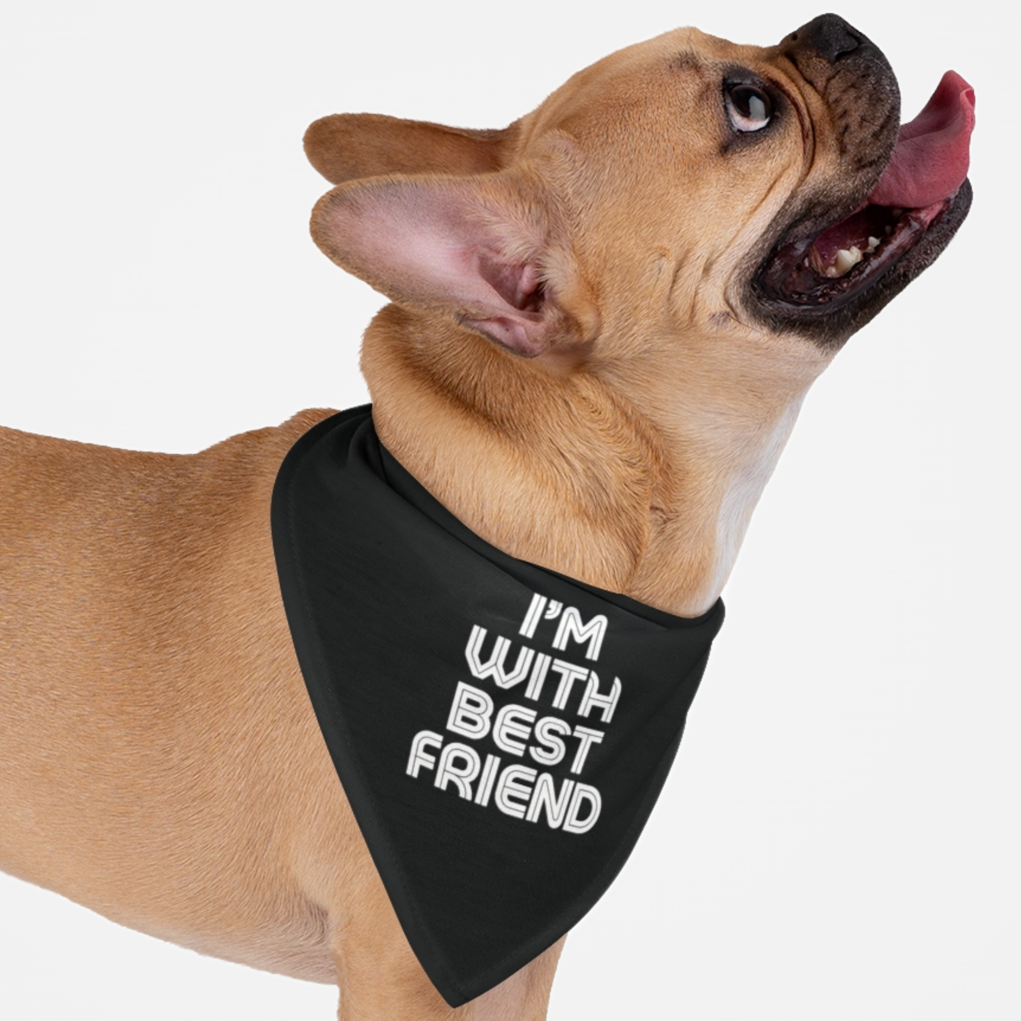 Dog wearing cute bandana saying I'm With Best Friend.