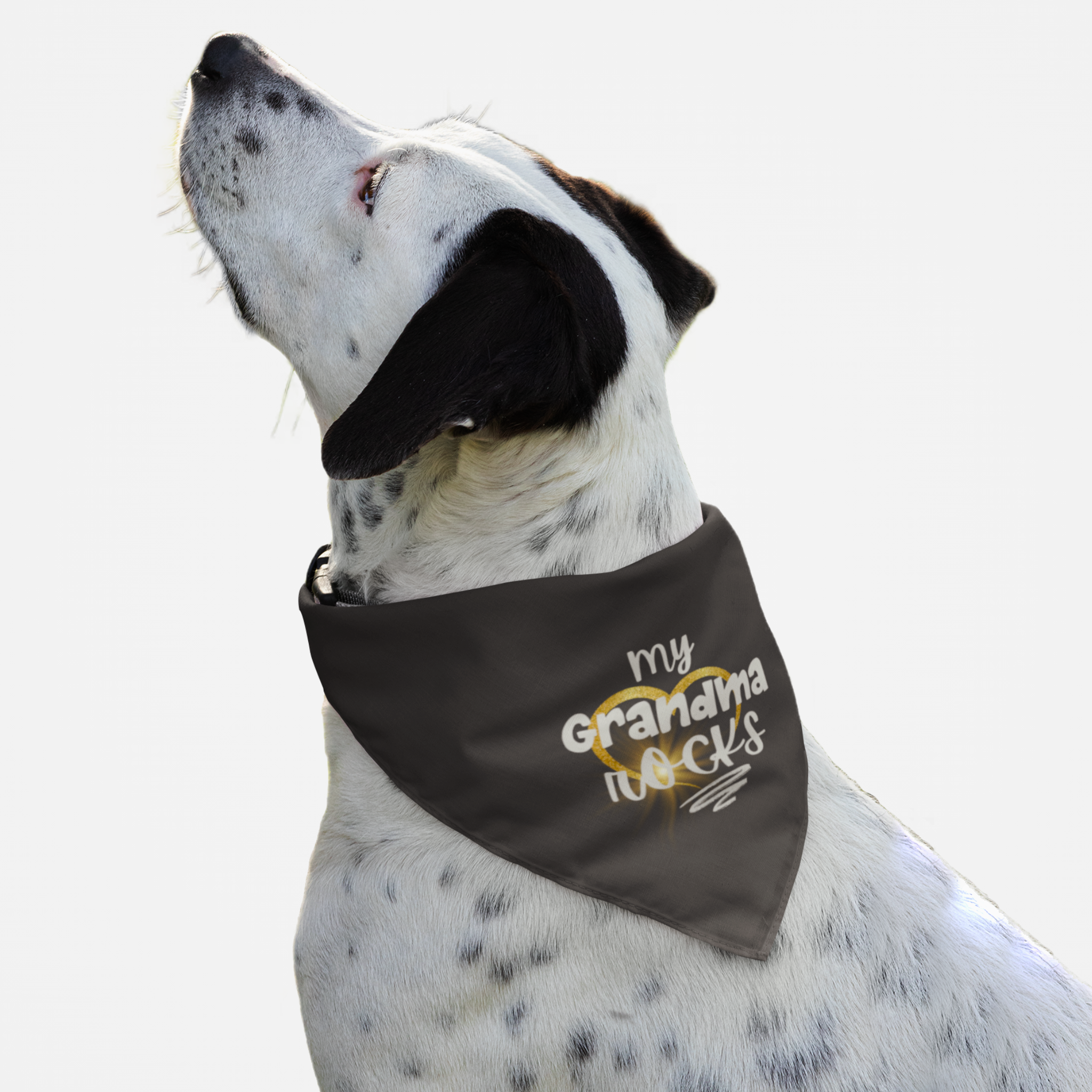 Dog wearing cute bandana saying My Grandma Rocks.