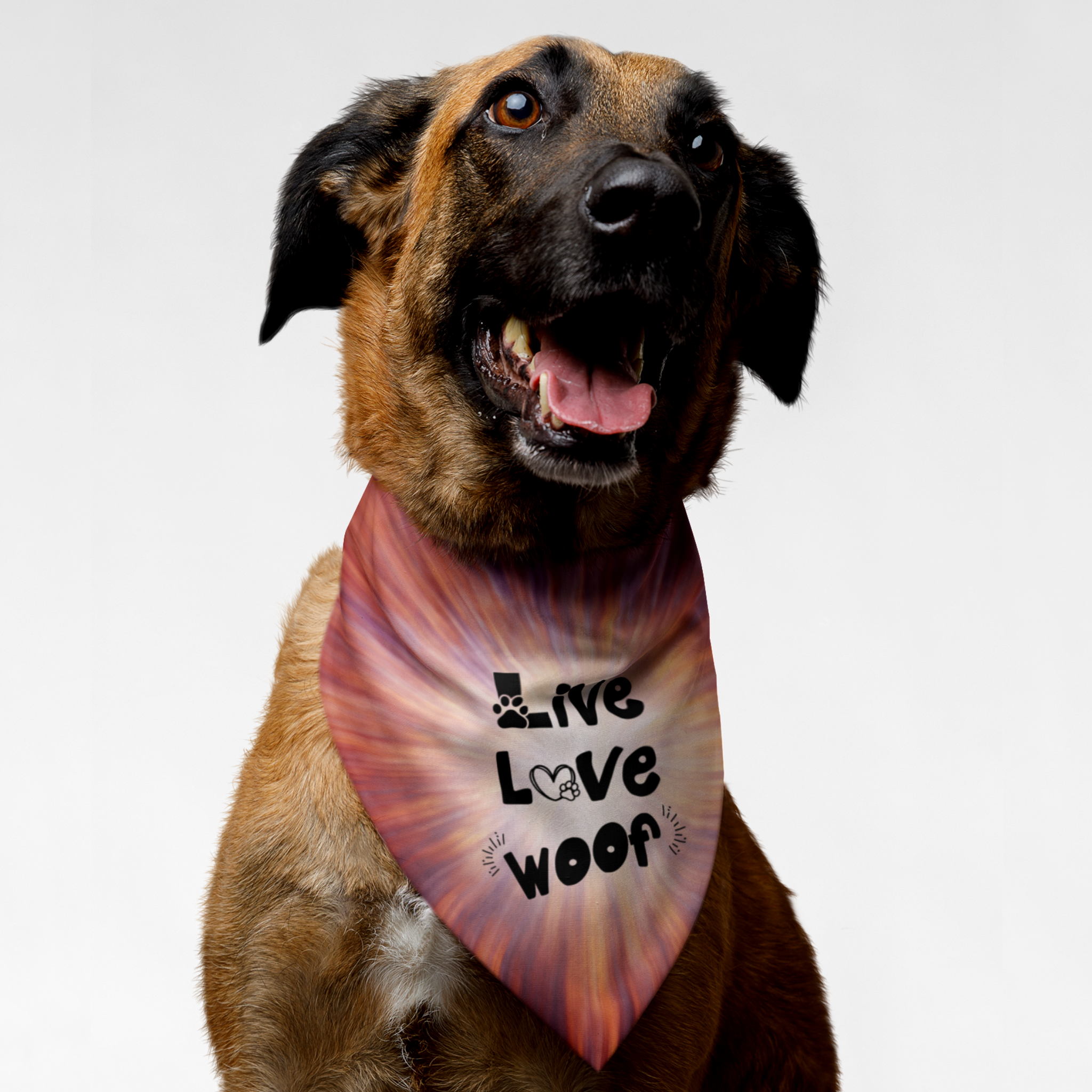 Dog wearing cute bandana with colorful background print saying Live Love Woof.