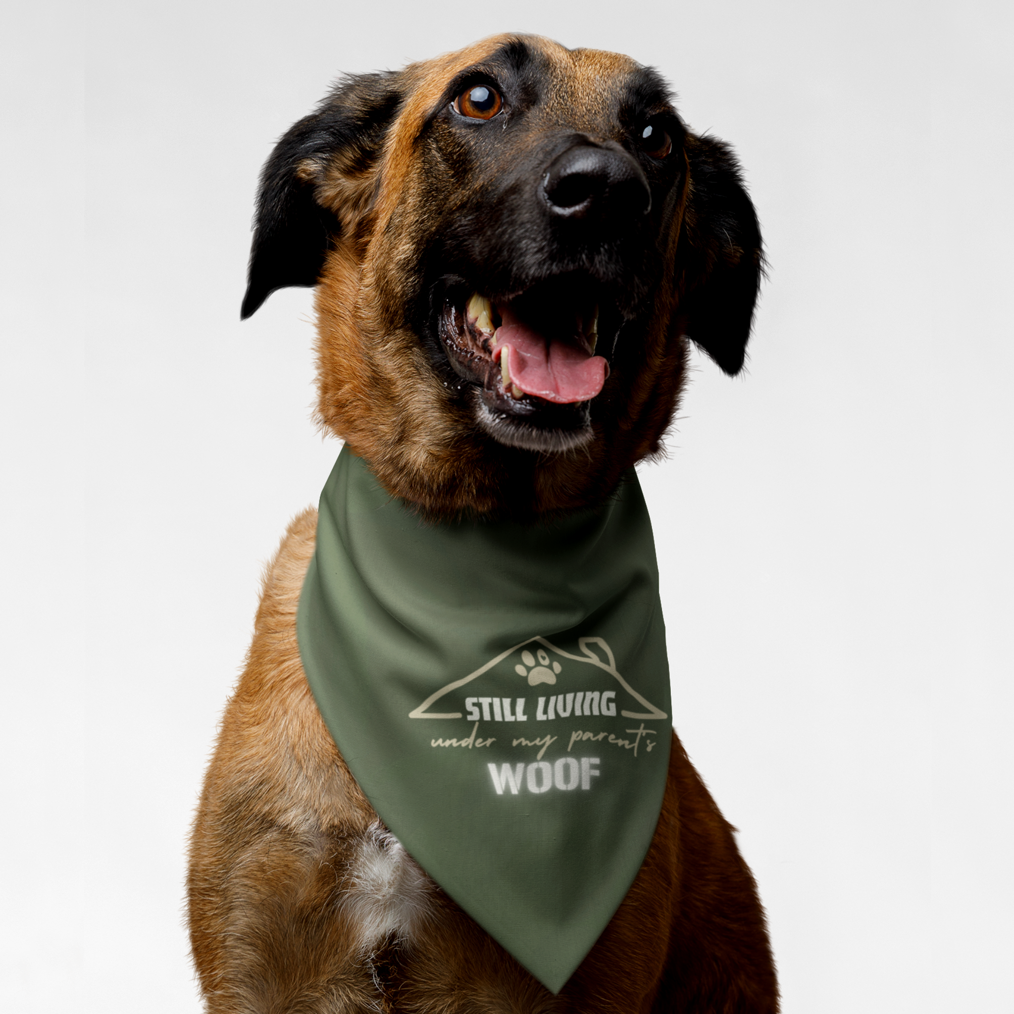 Dog wearing cute bandana with funny pun saying Still Living Under My Parent's Woof.