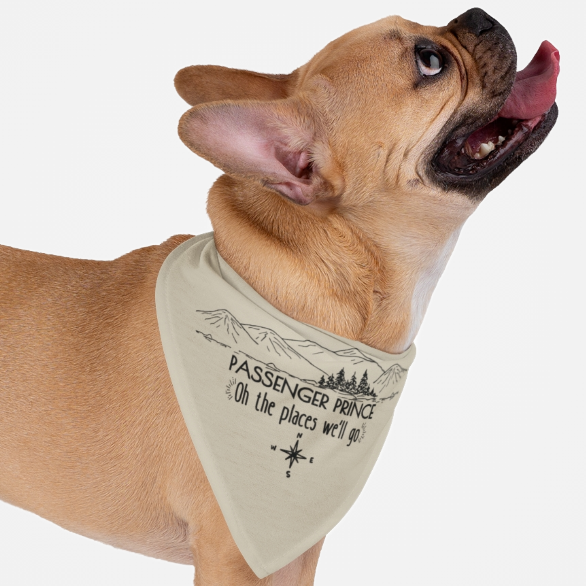 Dog wearing cute bandana with mountain landscape graphic saying "Passenger Prince. Oh the Places We'll Go."