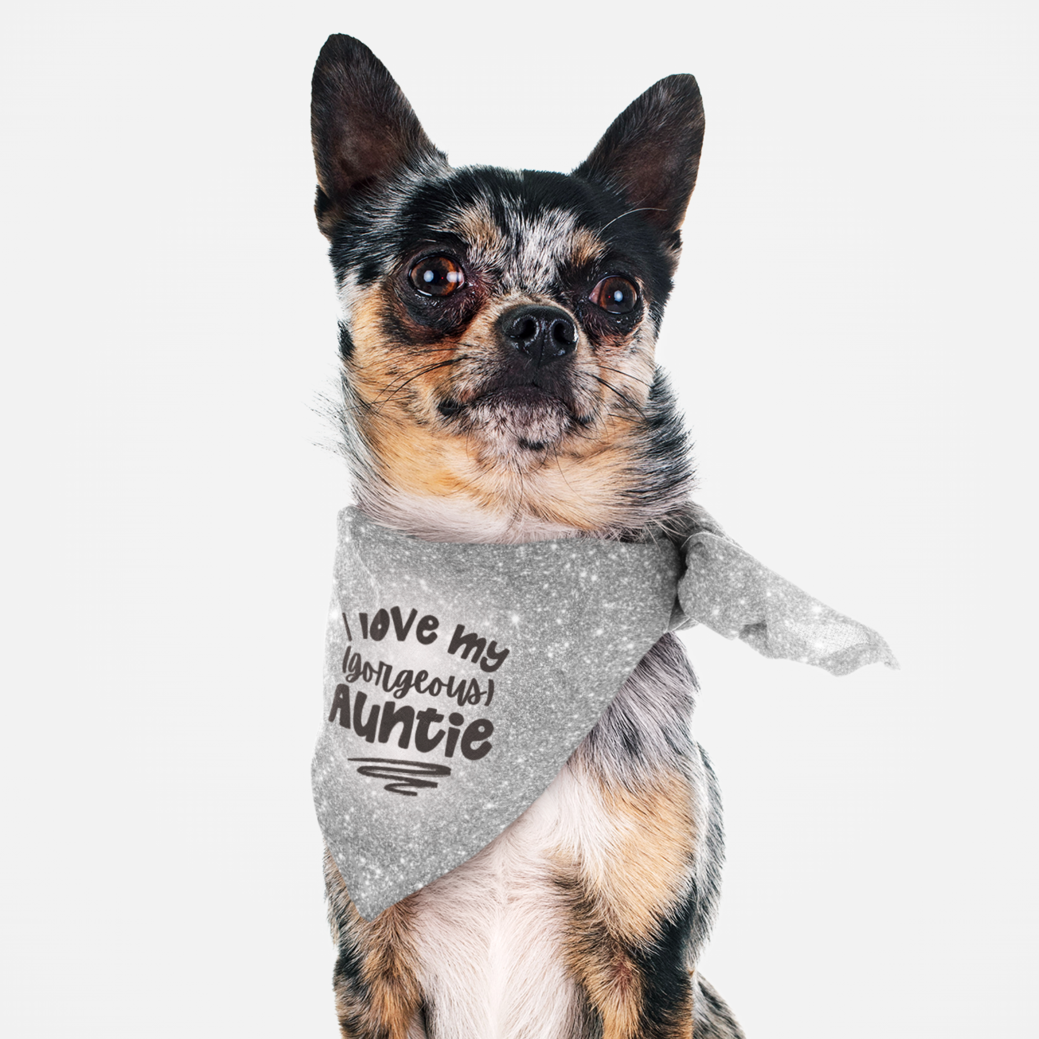 Dog wearing cute bandana with silver glitter print saying I Love My Gorgeous Auntie.