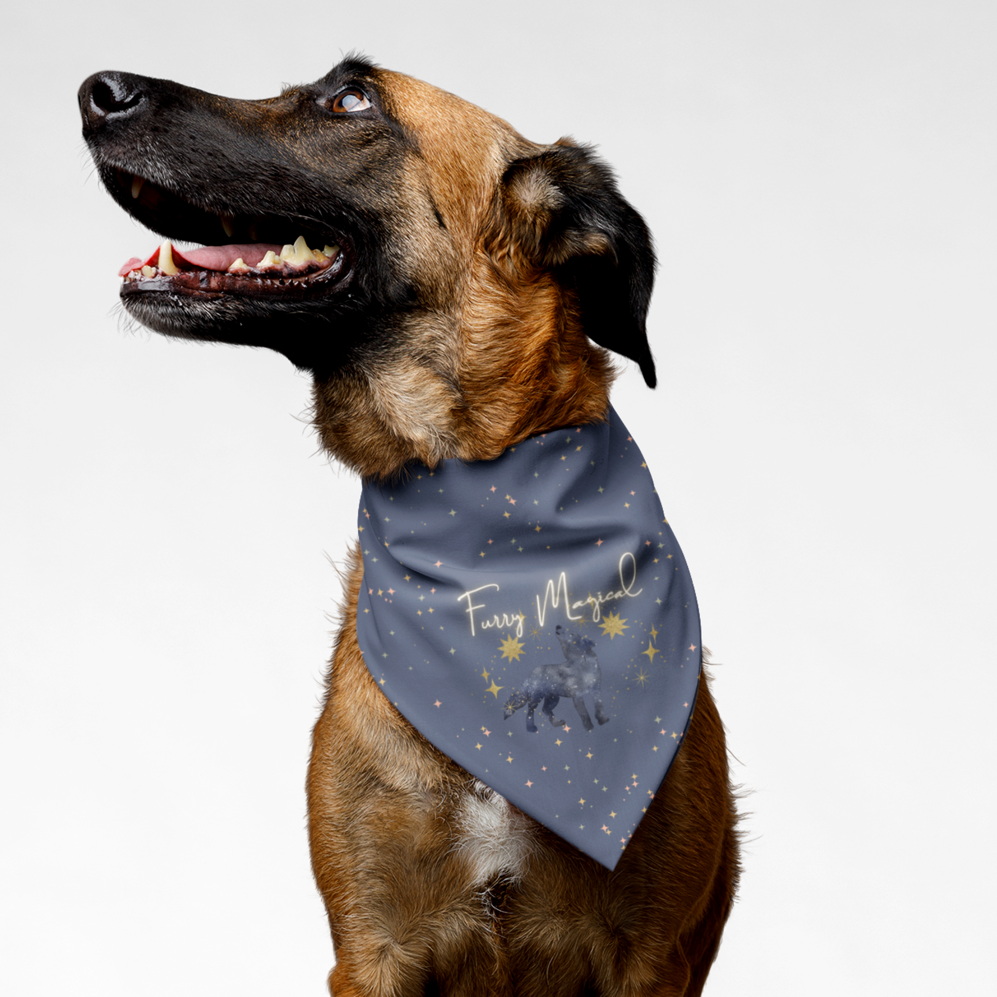 Dog wearing cute bandana with stars pattern and "Furry Magical" pun quote.