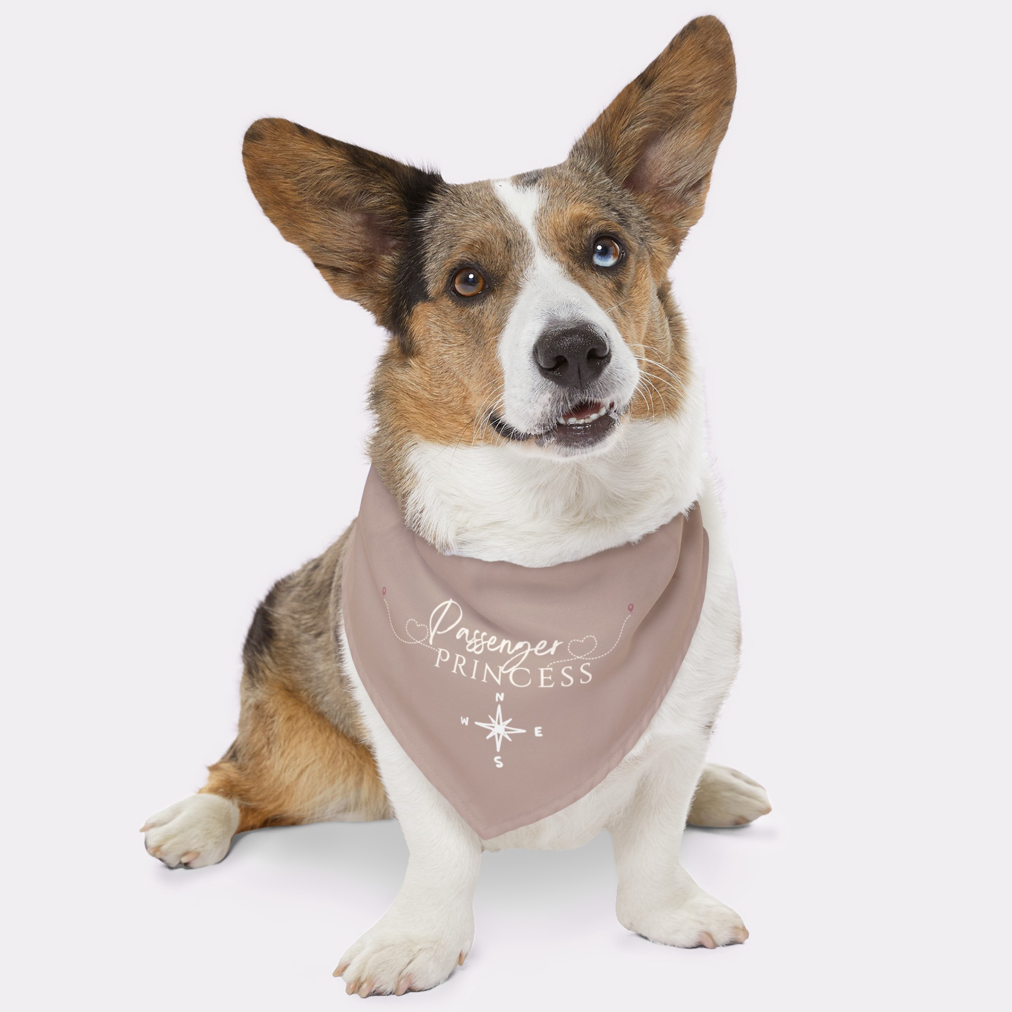 Dog wearing cute pink bandana saying Passenger Princess.