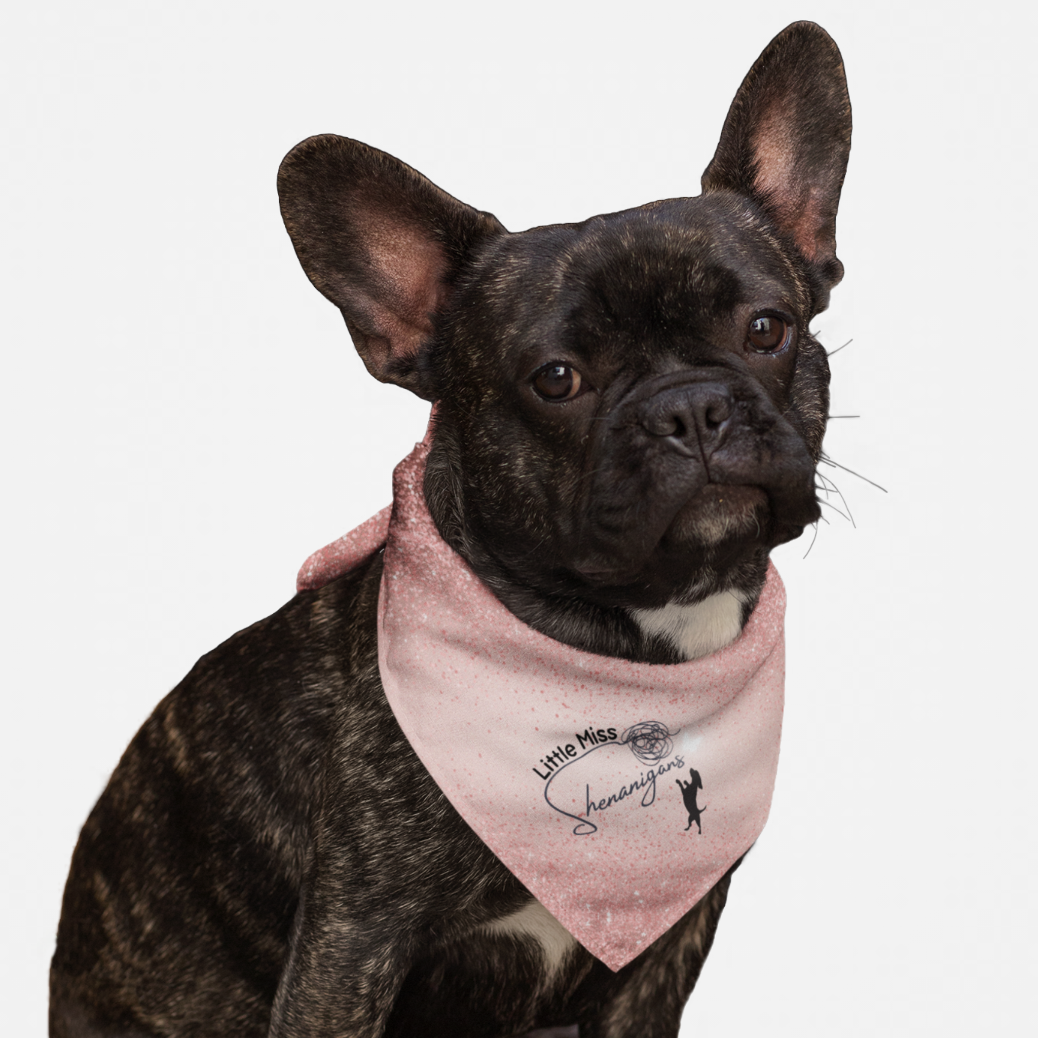 Dog wearing cute pink bandana with glitter print saying Little Miss Shenanigans.