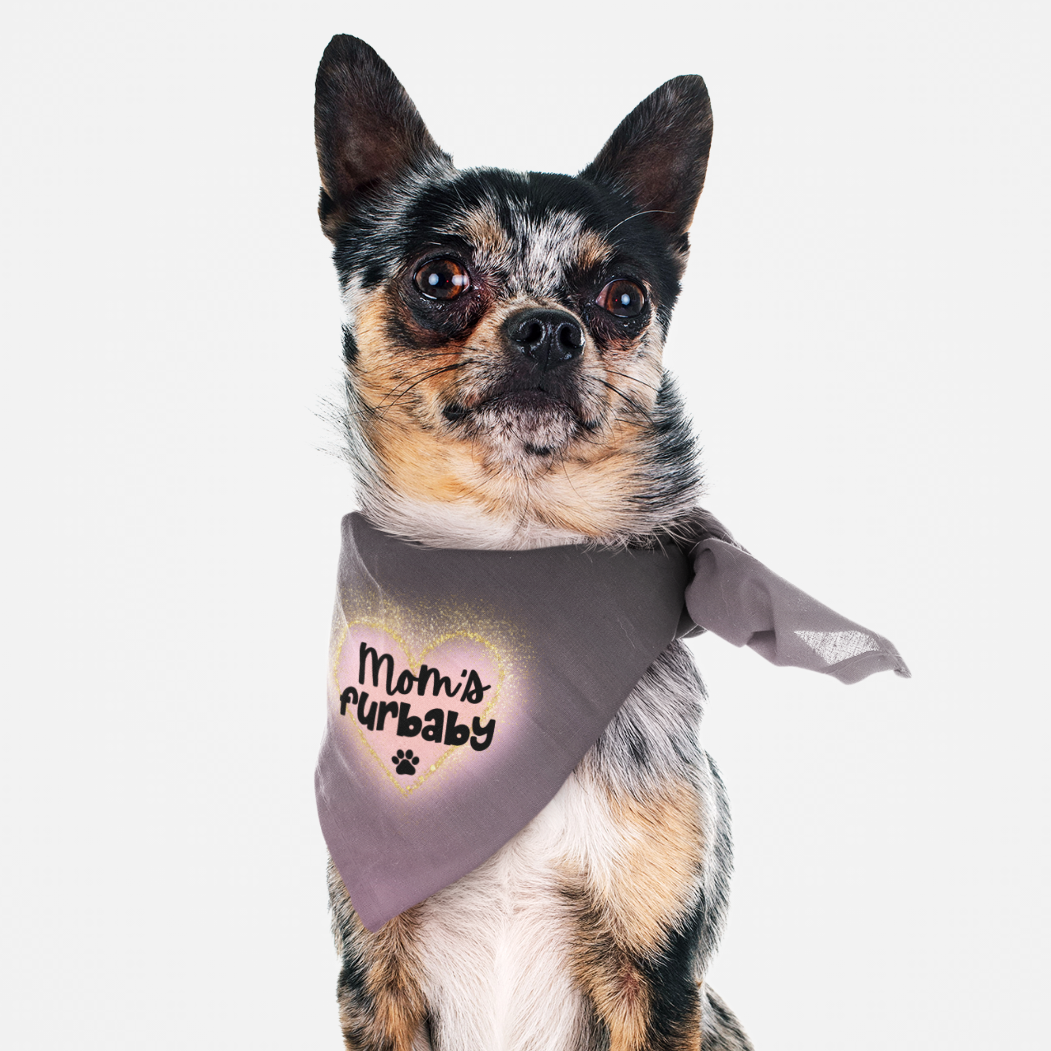 Dog wearing cute purple bandana with glowing glitter heart saying Mom's Furbaby.