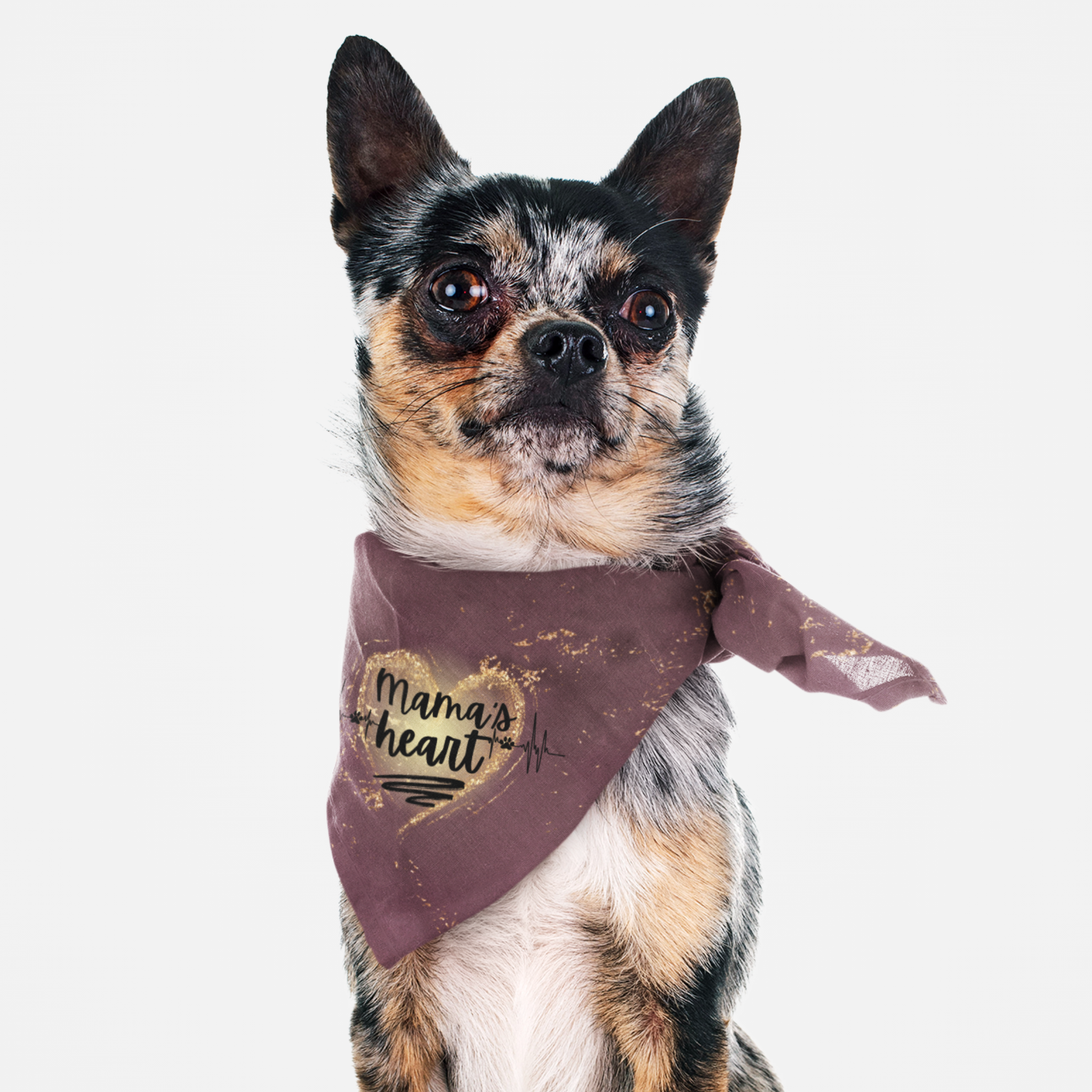 Dog wearing cute purple bandana with heartbeat graphic saying Mama's Heart.