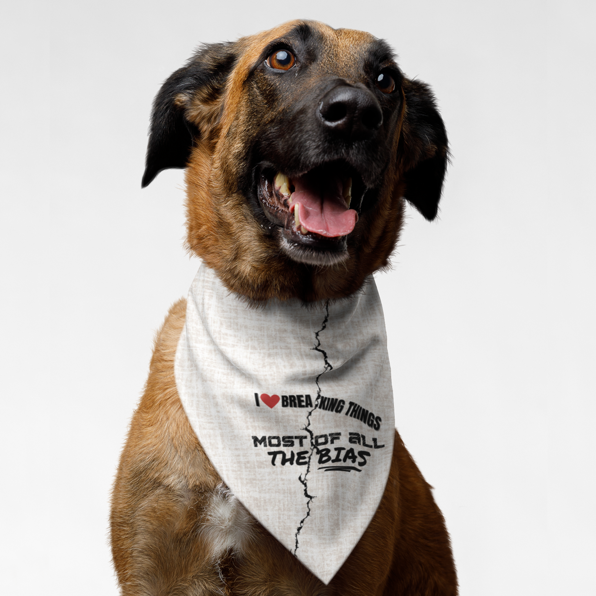 Dog wearing a diversity and inclusion awareness bandana with Breaking The Bias quote on it.