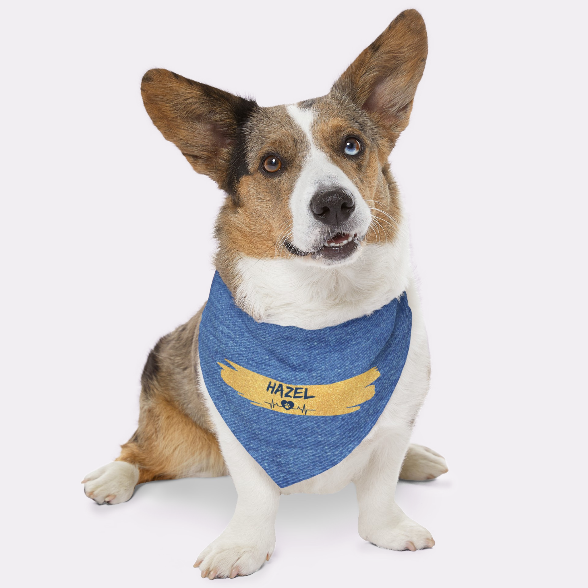 Cute dog wearing personalized bandana featuring denim print effect with dog name on gold brush stroke.