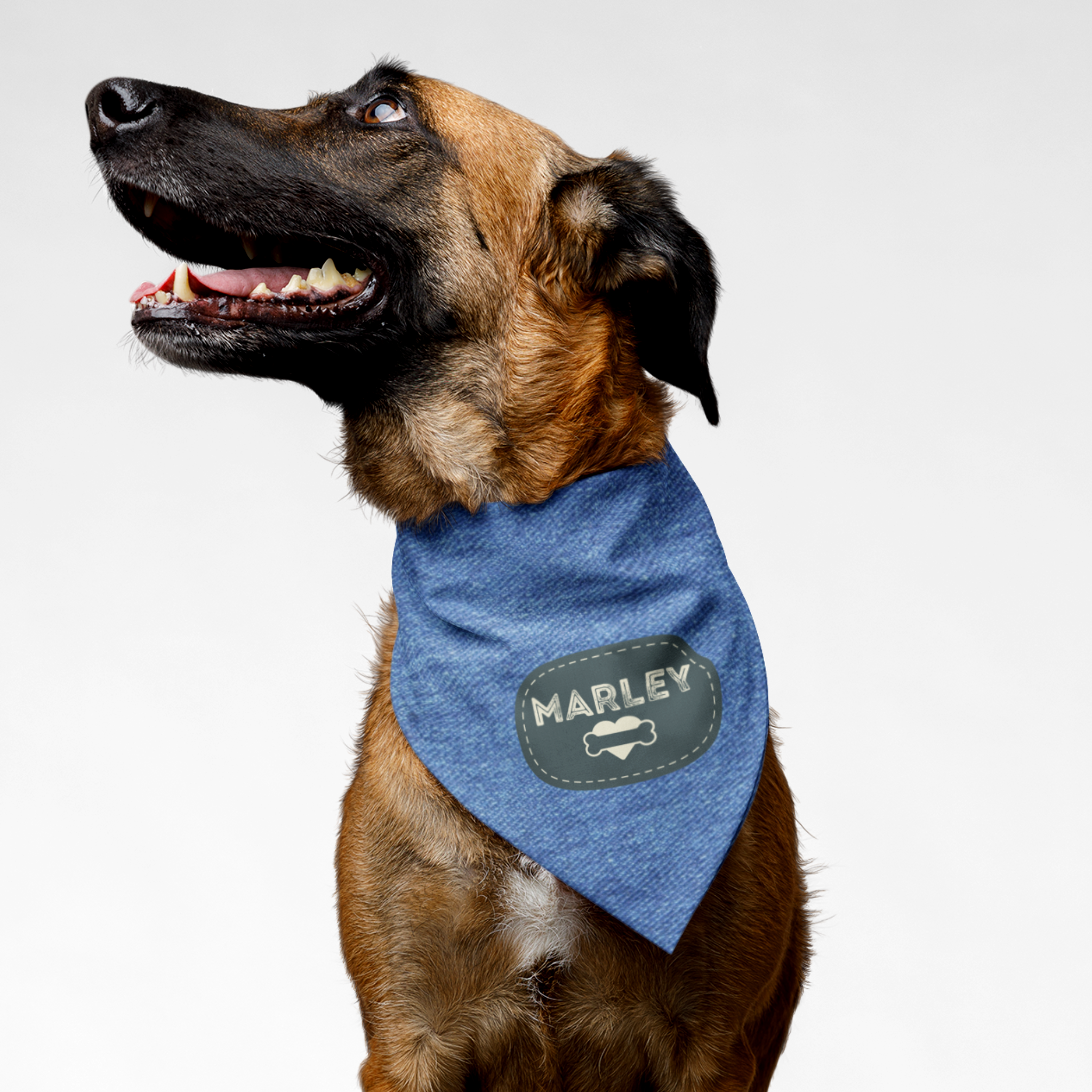 Dog wearing personalized bandana featuring name on badge with a heart and bone graphic on a denim print effect background.