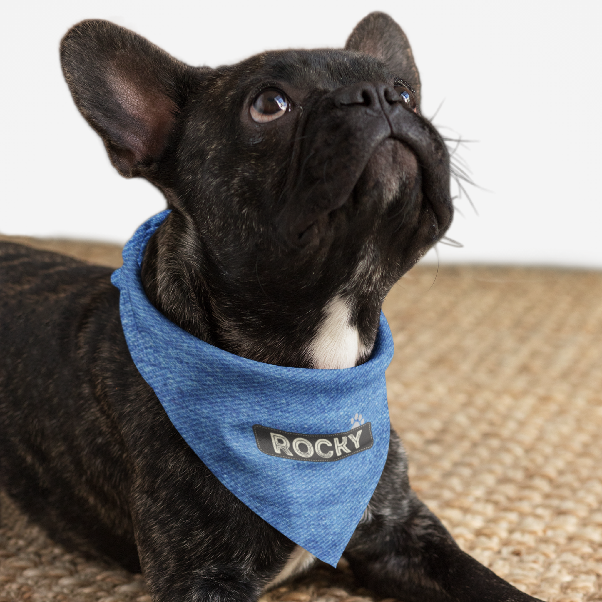 Dog wearing personalized bandana featuring name on charcoal gray badge with denim print effect background.