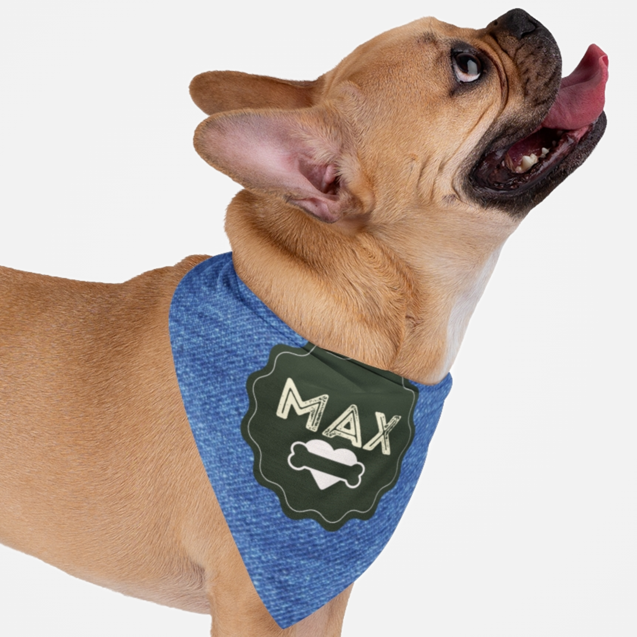 Dog wearing personalized bandana featuring name on green badge with denim print effect background.