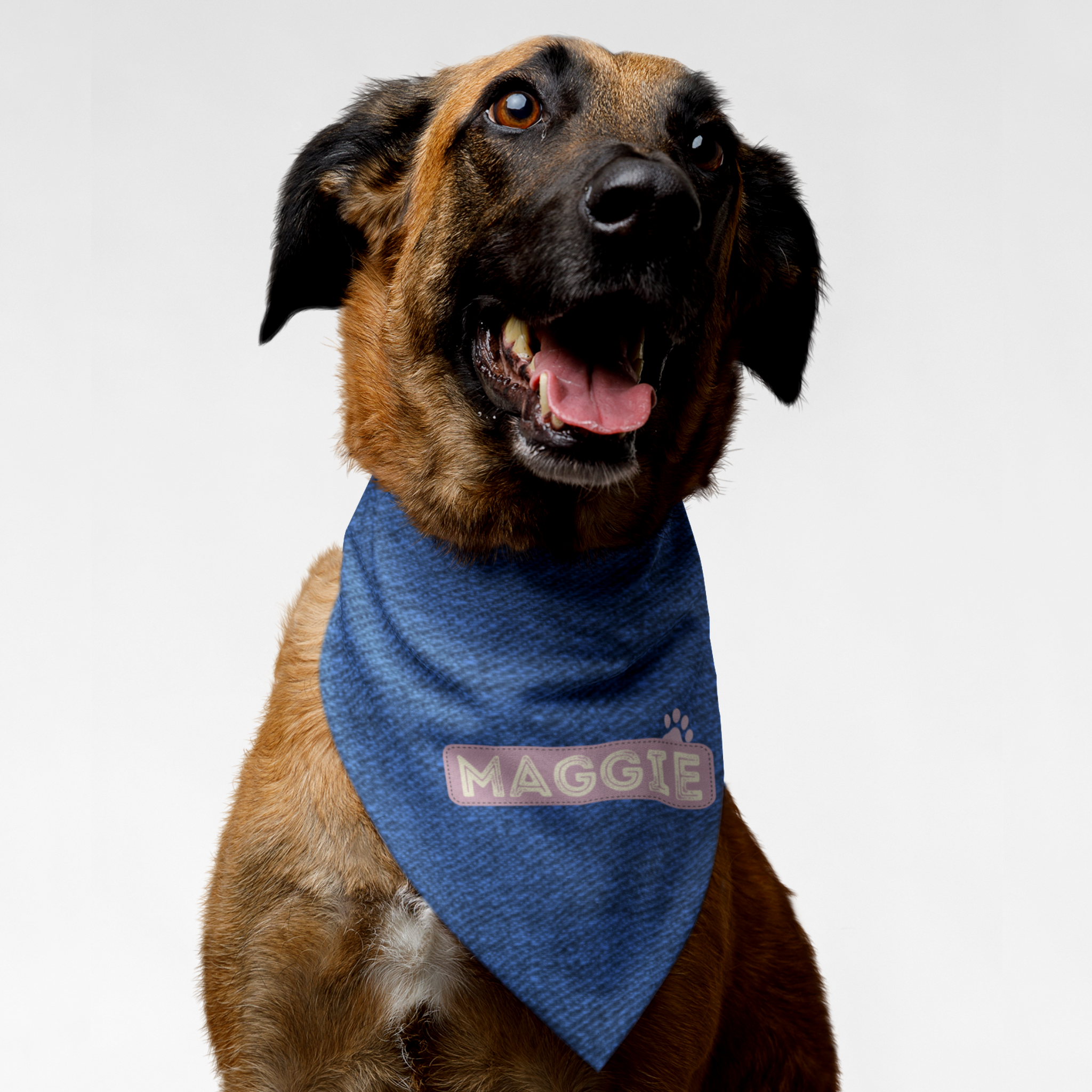 Dog wearing personalized bandana featuring name on pink badge with denim print effect background.