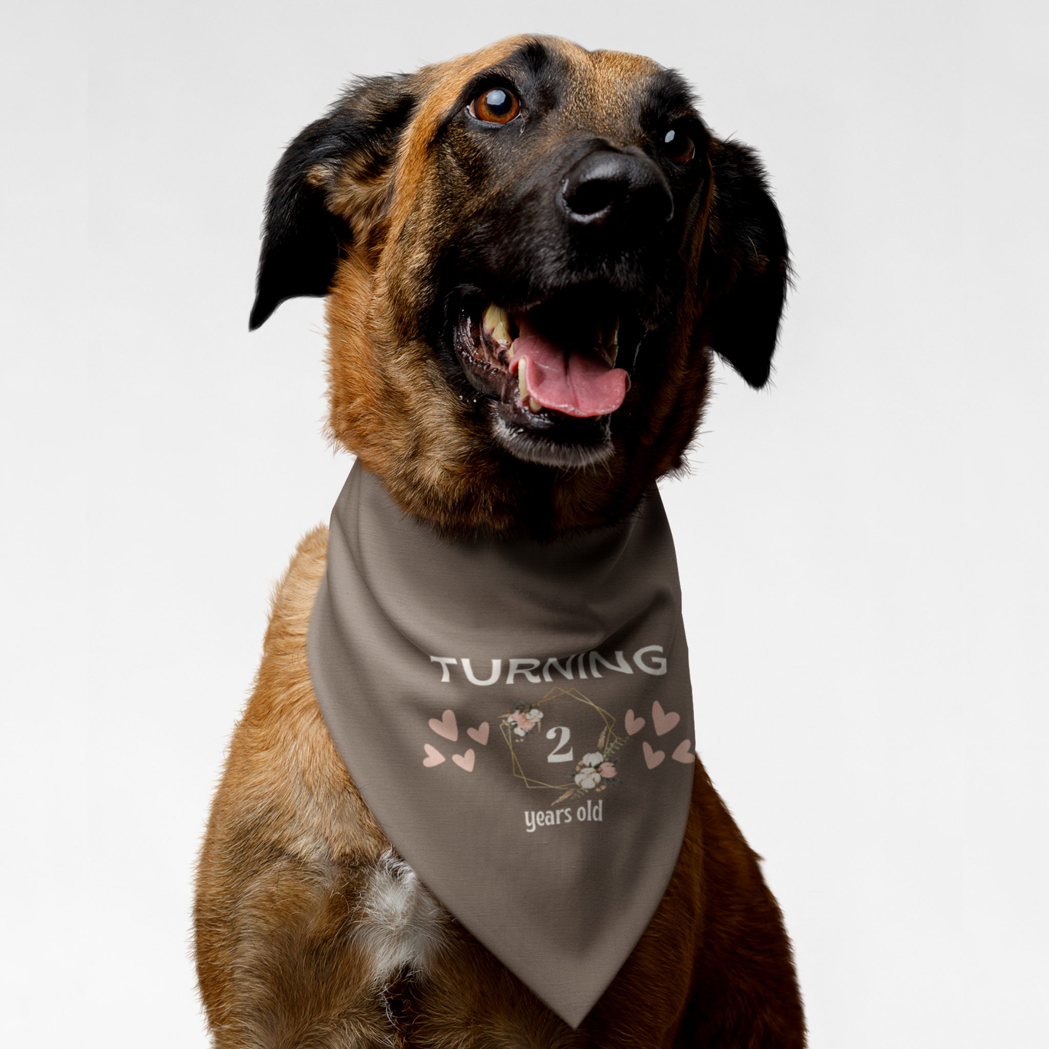 Dog wearing personalized birthday bandana featuring custom year age in floral frame with hearts on taupe background.