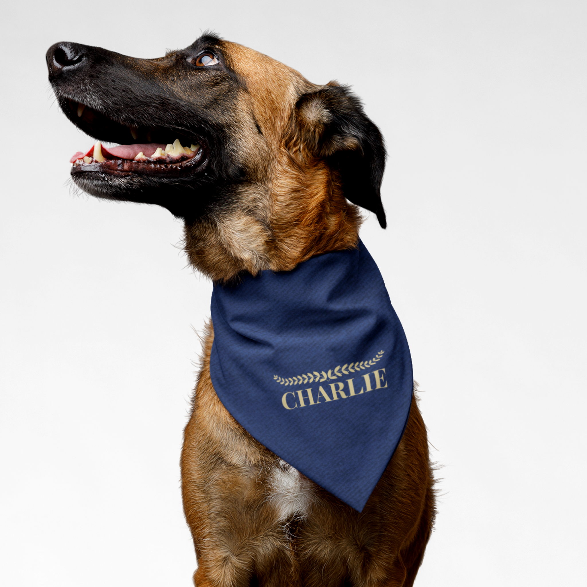 Dog wearing personalized name bandana featuring denim print and gold laurel wreath graphic.