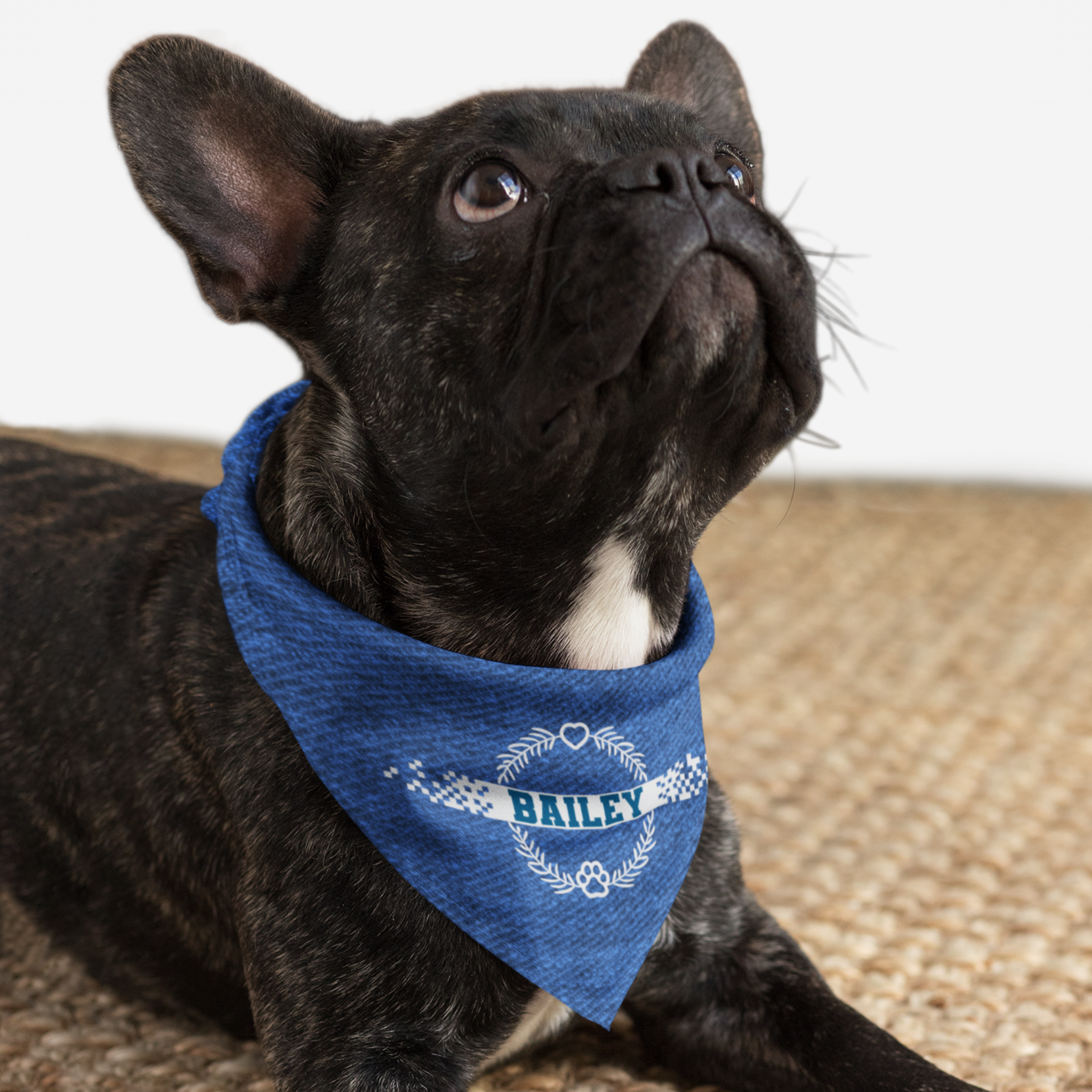 Dog wearing personalized dog bandana featuring denim print and laurel wreath graphic with heart and paw.