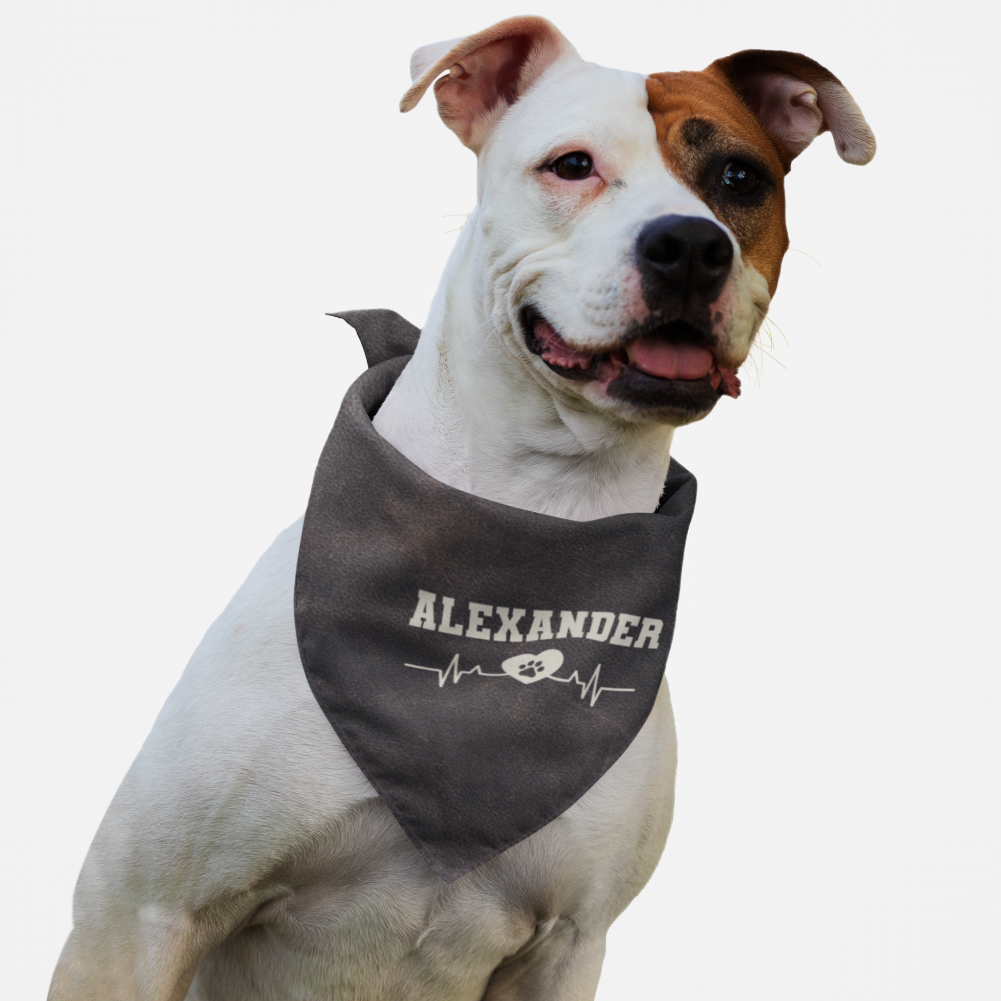 Dog wearing personalized name bandana featuring leather effect print and heartbeat graphic.