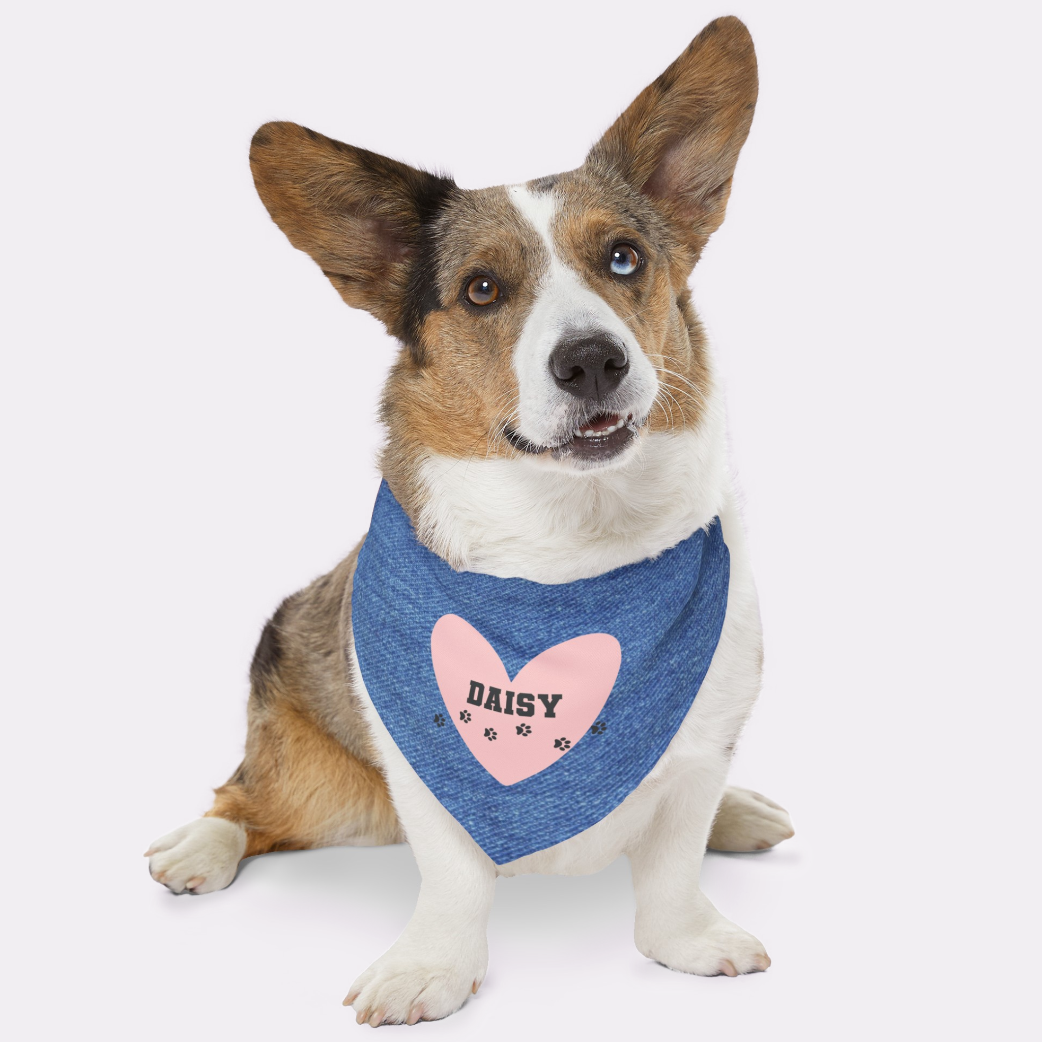 Dog wearing personalized name bandana with denim print and cute pink heart with paws graphic.