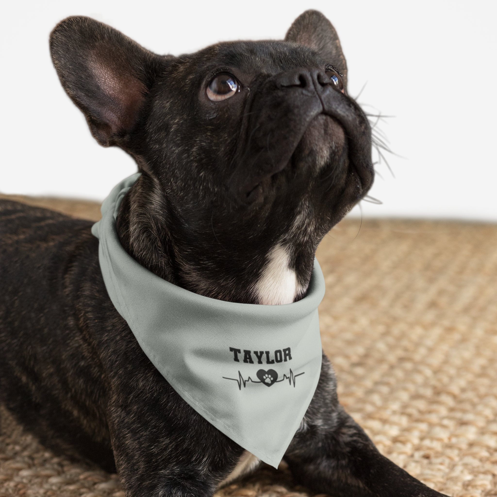 Dog wearing personalized name bandana with solid background color and heartbeat graphic.