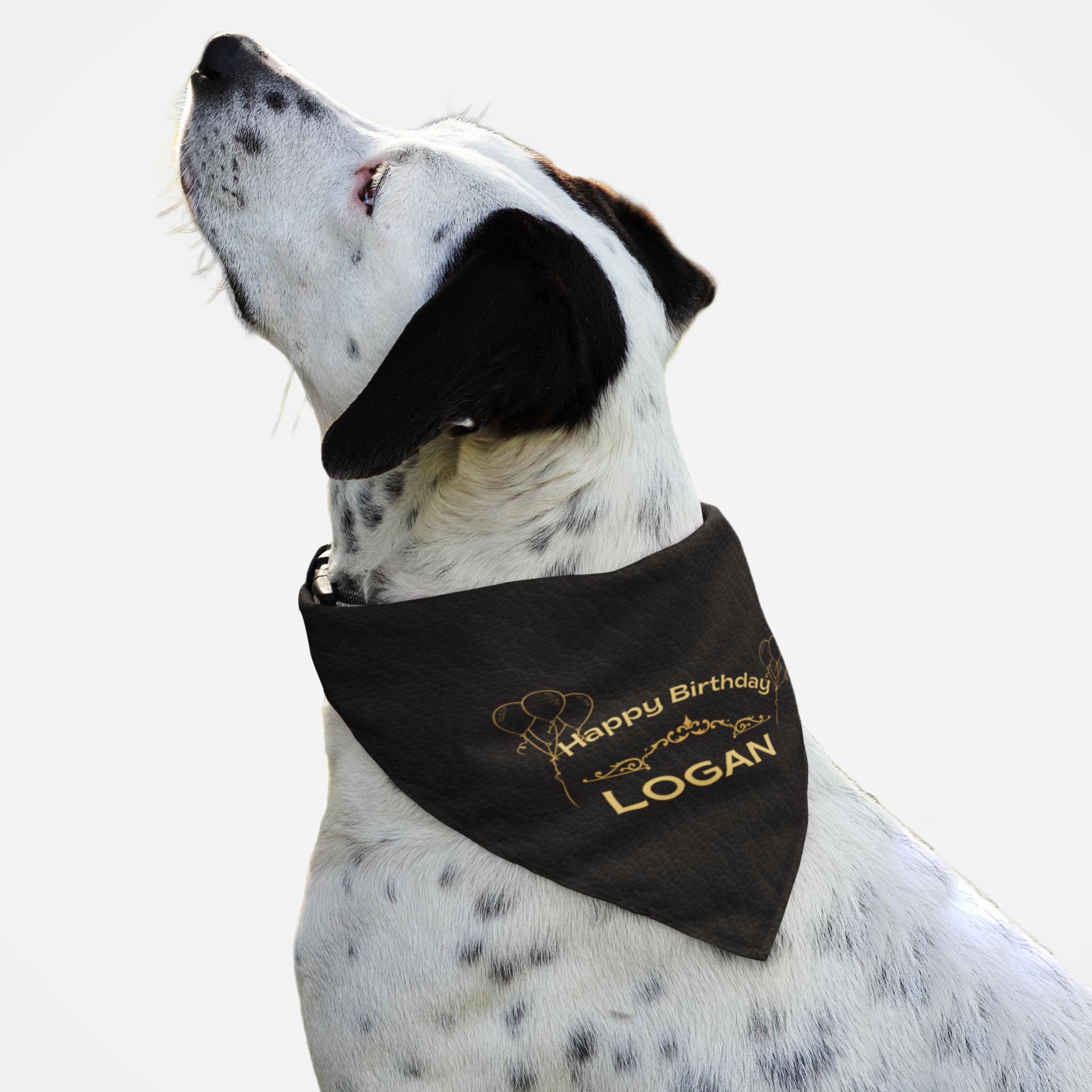 Dog wearing personalized name birthday bandana featuring gold Happy Birthday text on custom black leather print effect background.