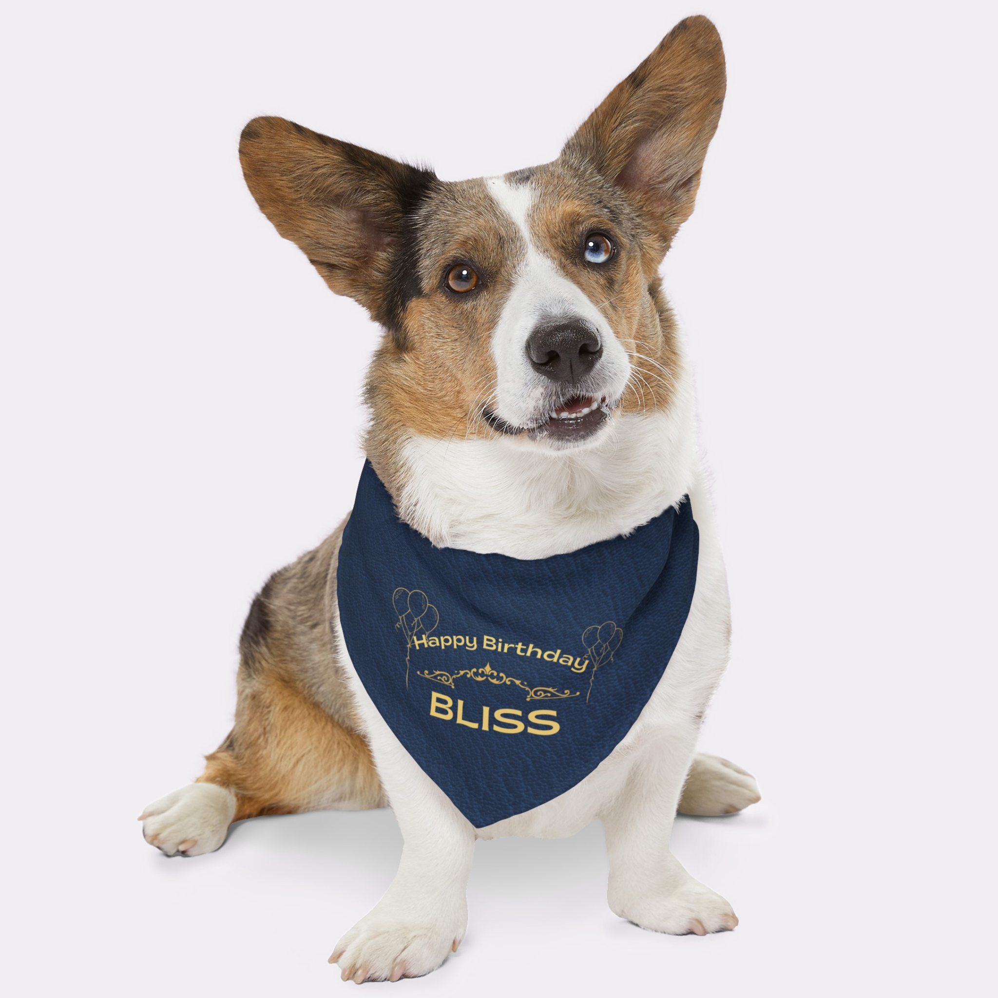 Dog wearing personalized name birthday bandana featuring gold Happy Birthday text on custom blue leather print effect background.