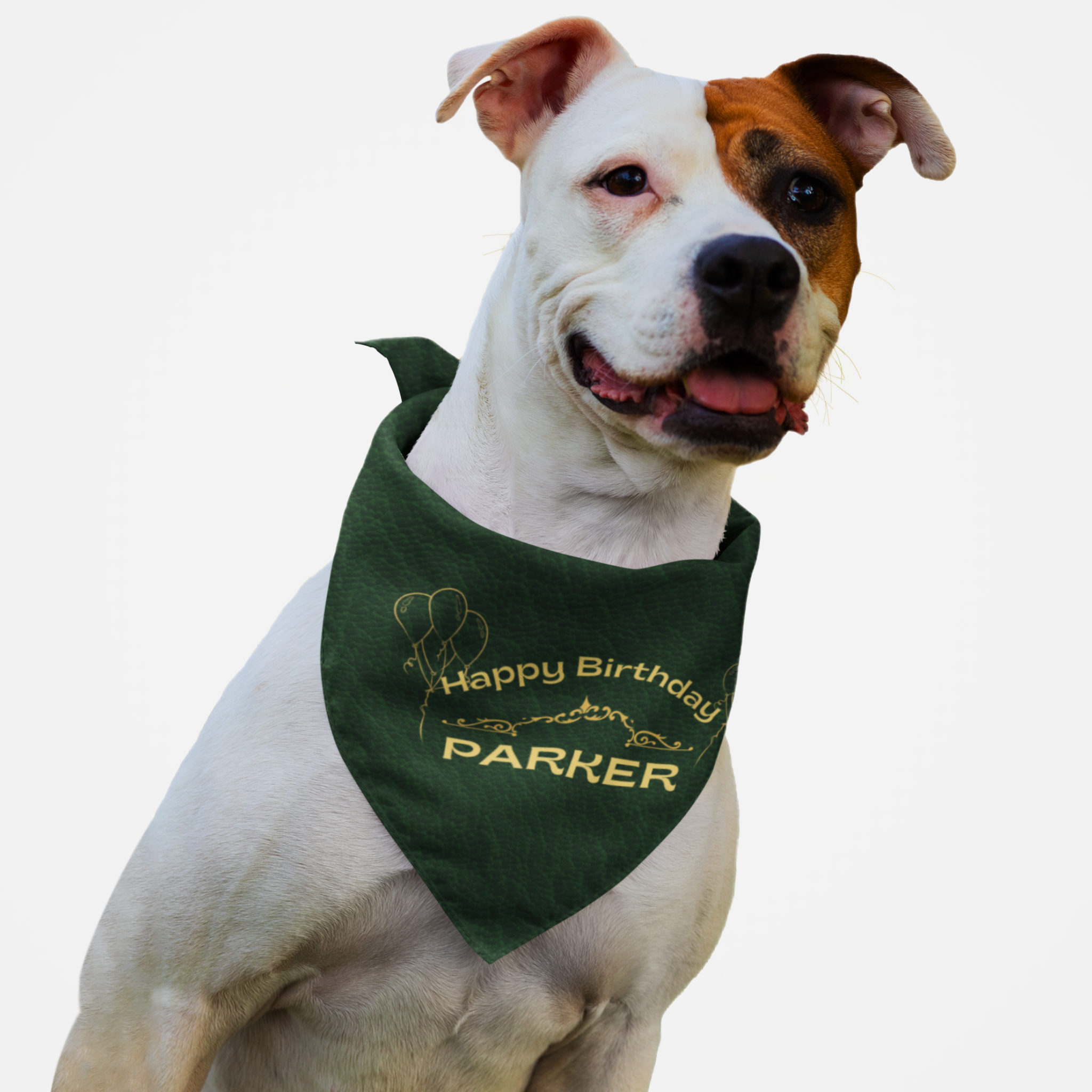 Dog wearing personalized name birthday bandana featuring gold Happy Birthday text on custom green leather print effect background.