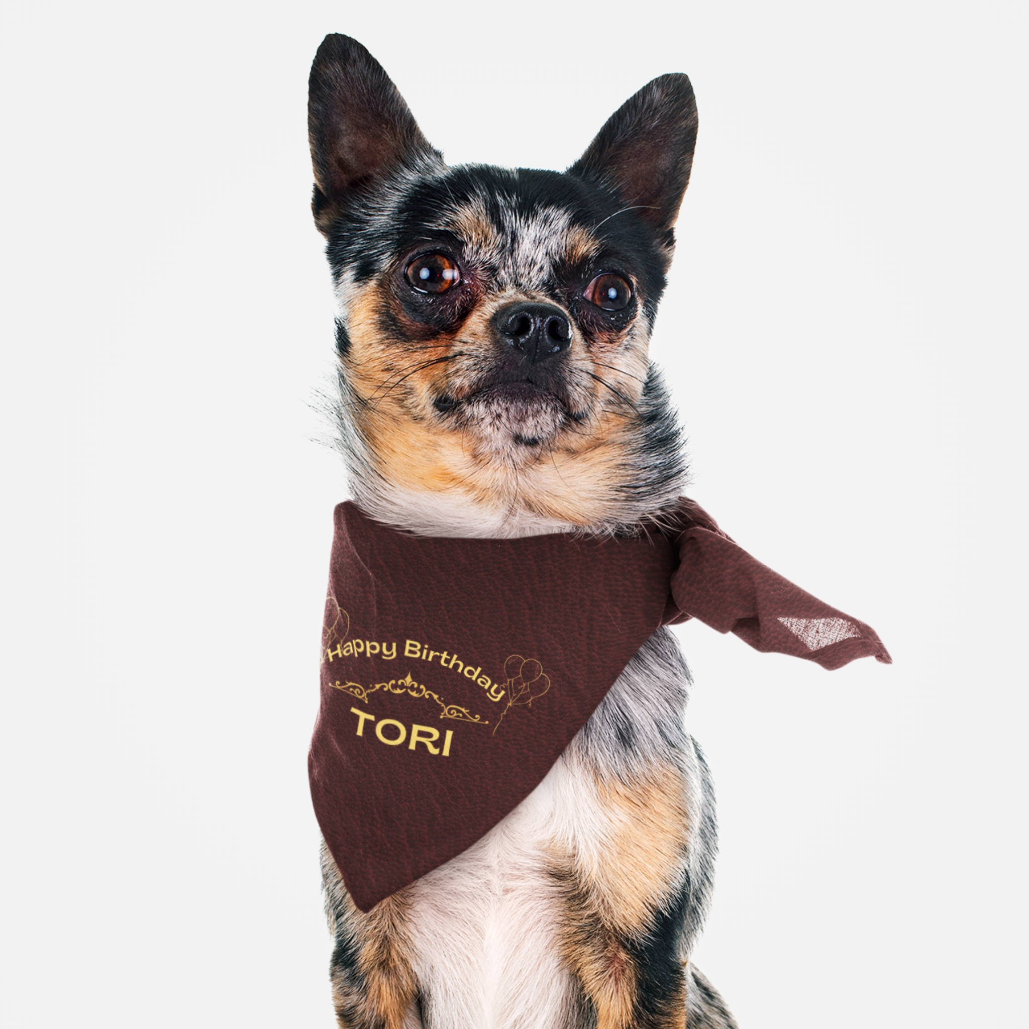 Dog wearing personalized name birthday bandana featuring gold Happy Birthday text on custom red leather print effect background.