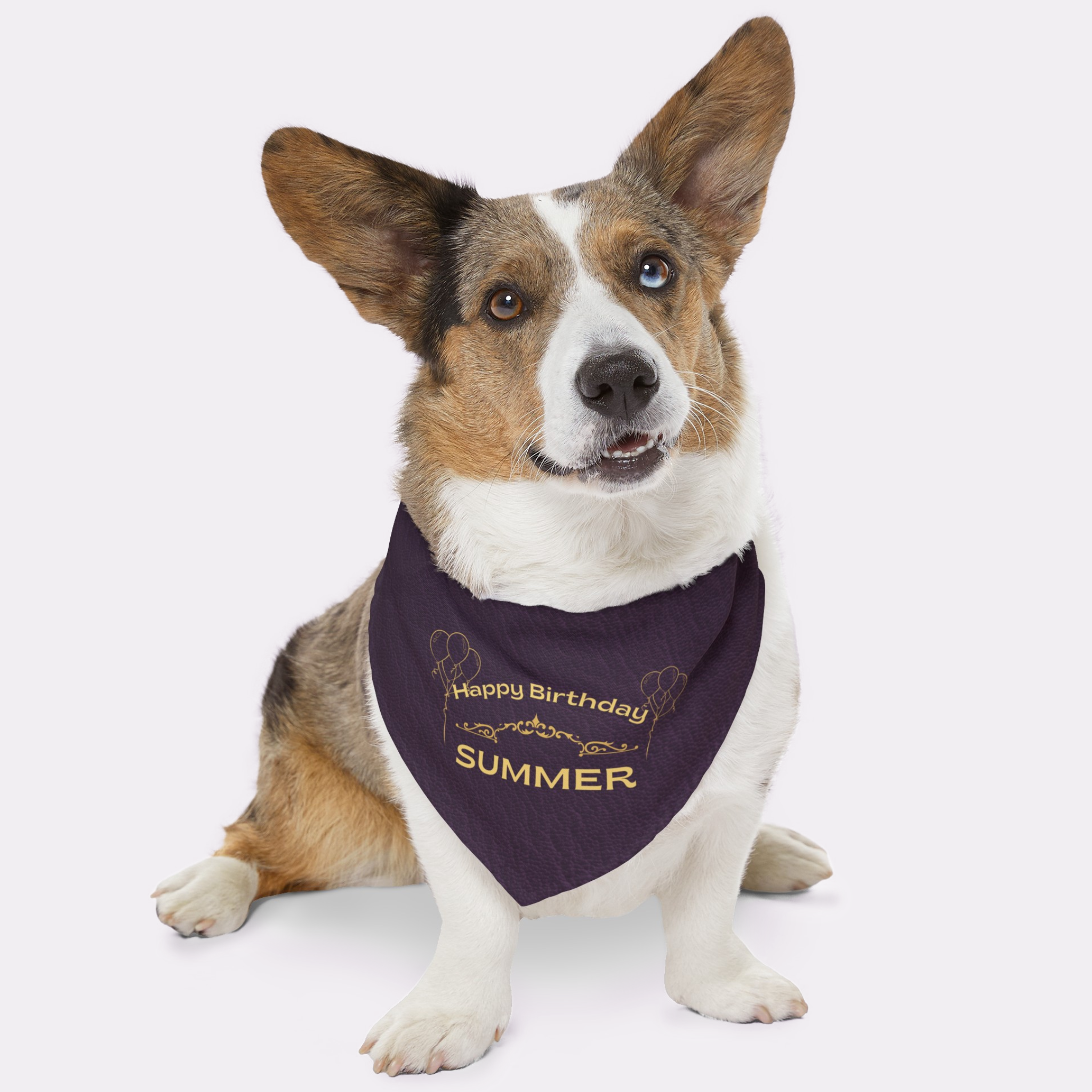 Dog wearing personalized name birthday bandana featuring gold Happy Birthday text on custom violet leather print effect background.