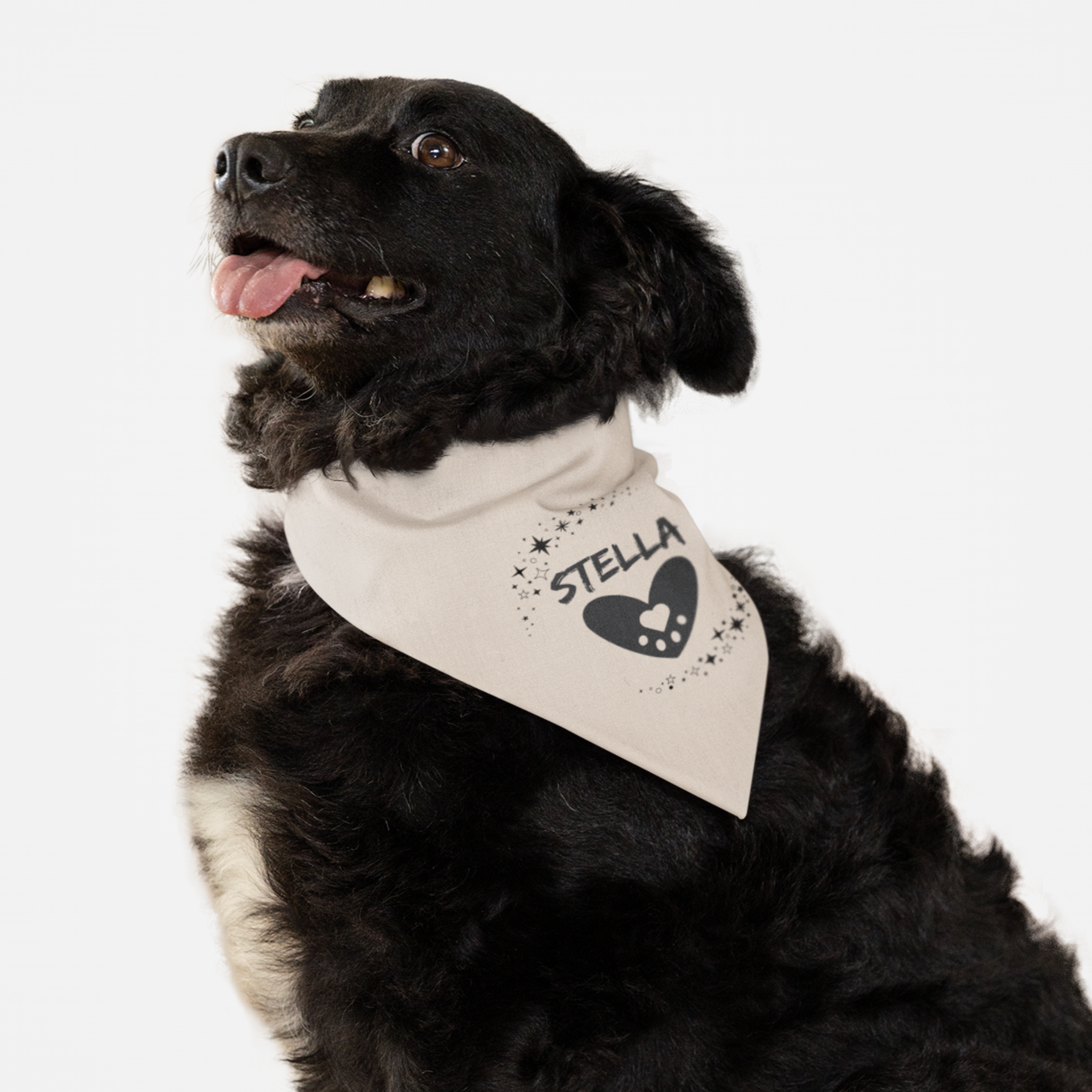 Dog wearing personalized name pink bandana with stars frame and heart graphics.