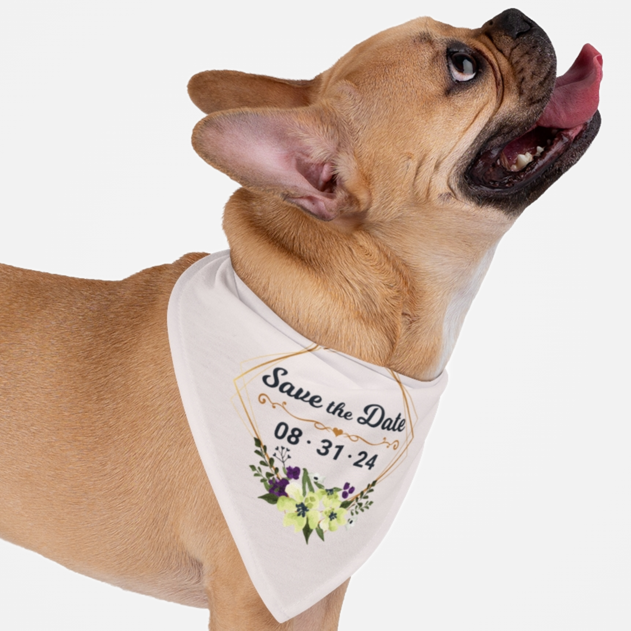 Dog wearing personalized Save the Date bandana with custom wedding date.